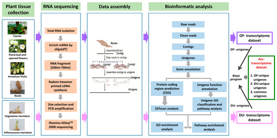 Ijms December 2016 Browse Articles