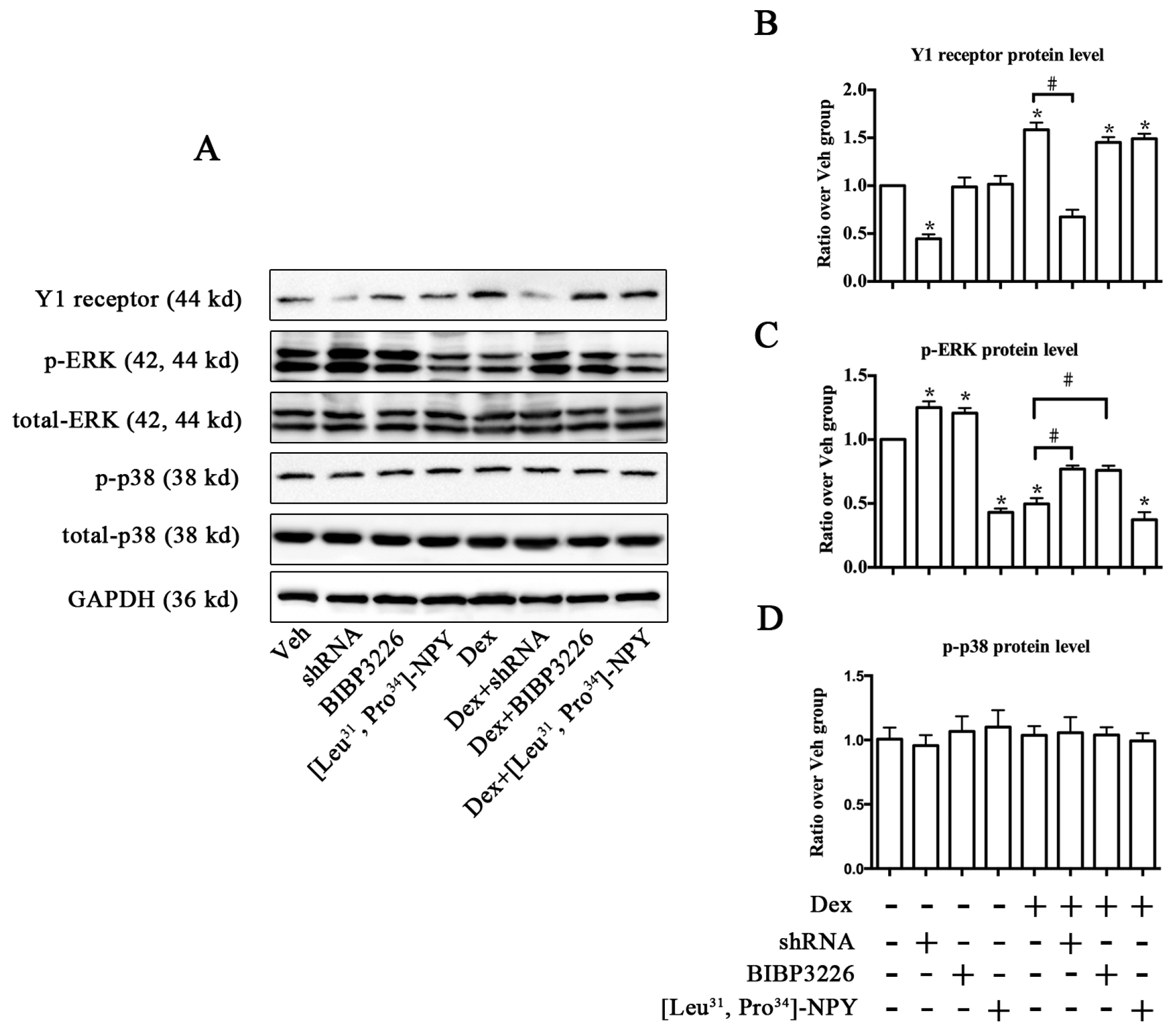 Ijms 17 02150 g005 550