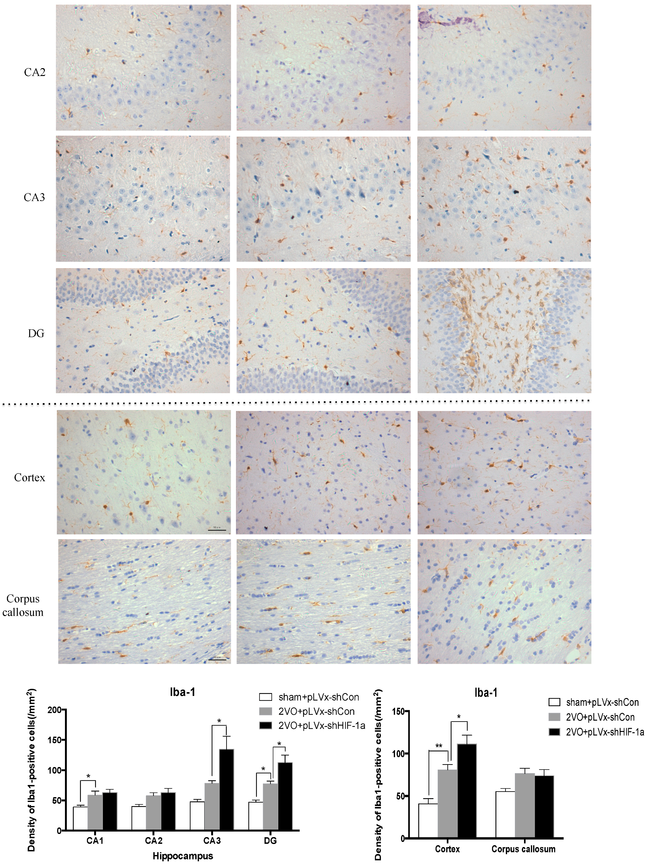 Ijms 18 00003 g006c 550