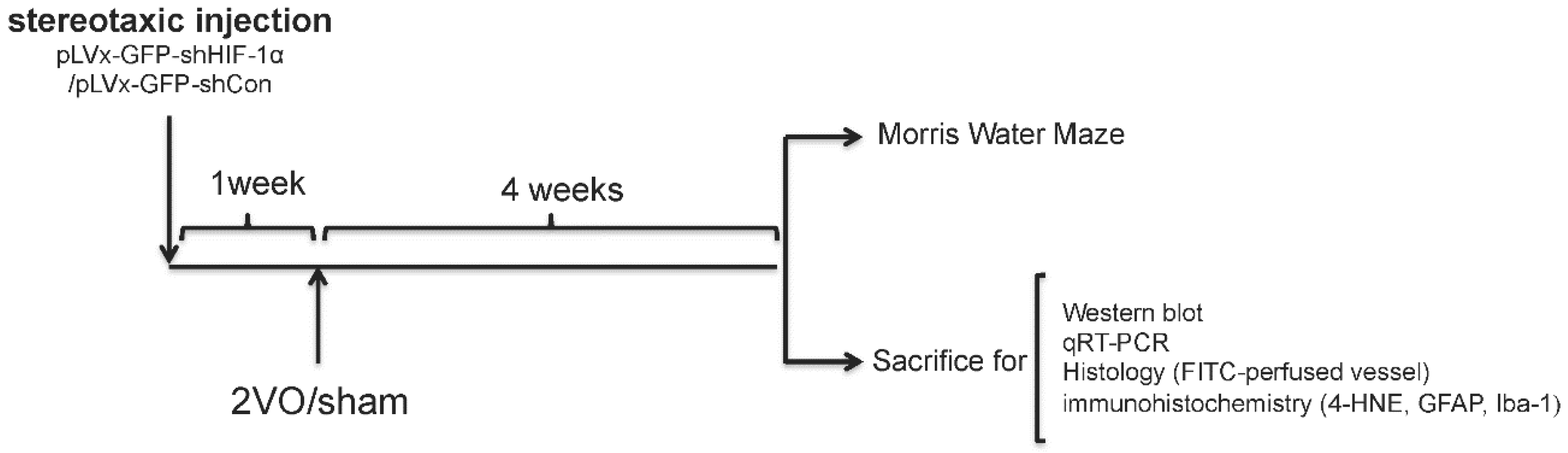 Ijms 18 00003 g008 550