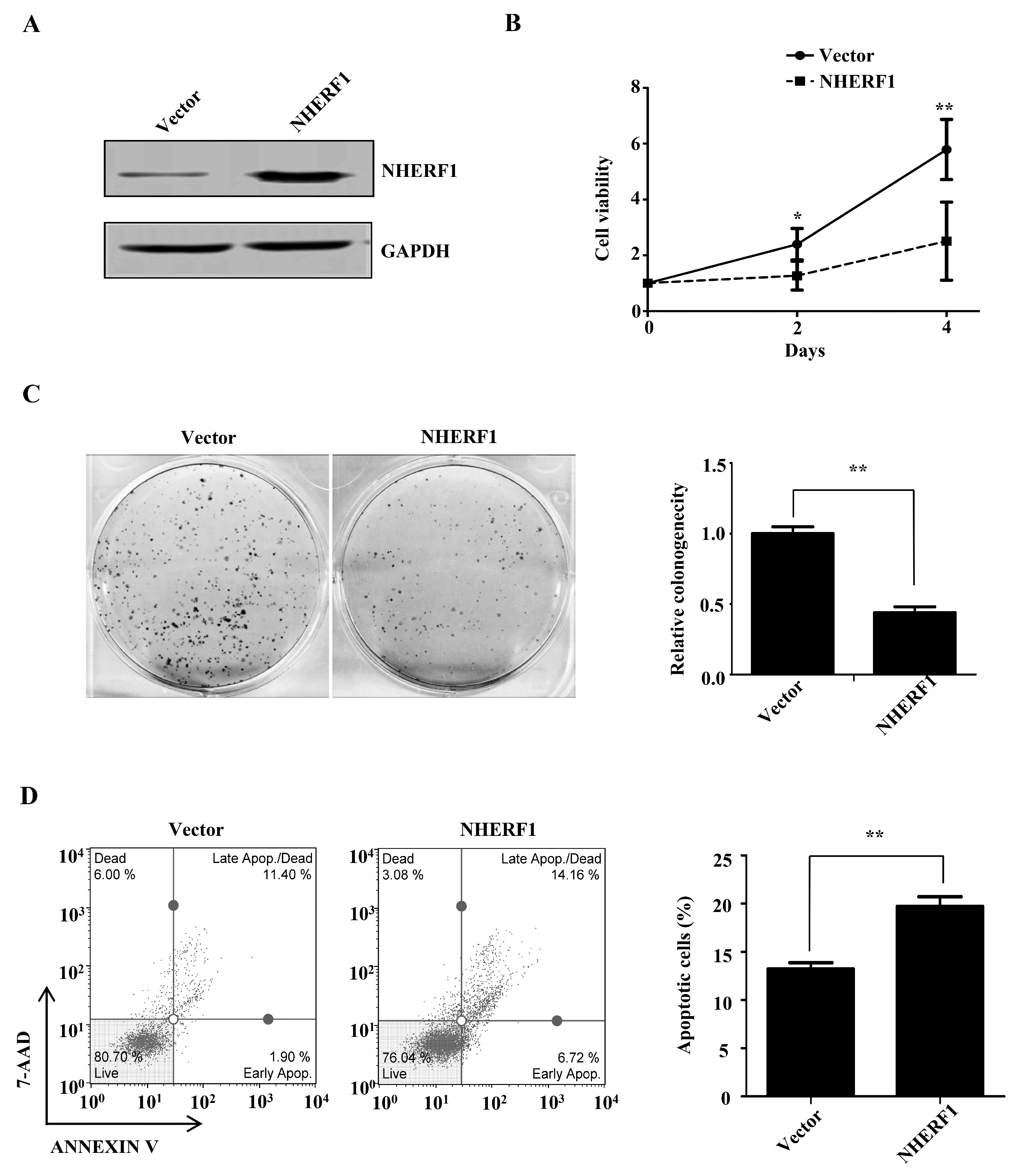 Ijms 18 00005 g002 550