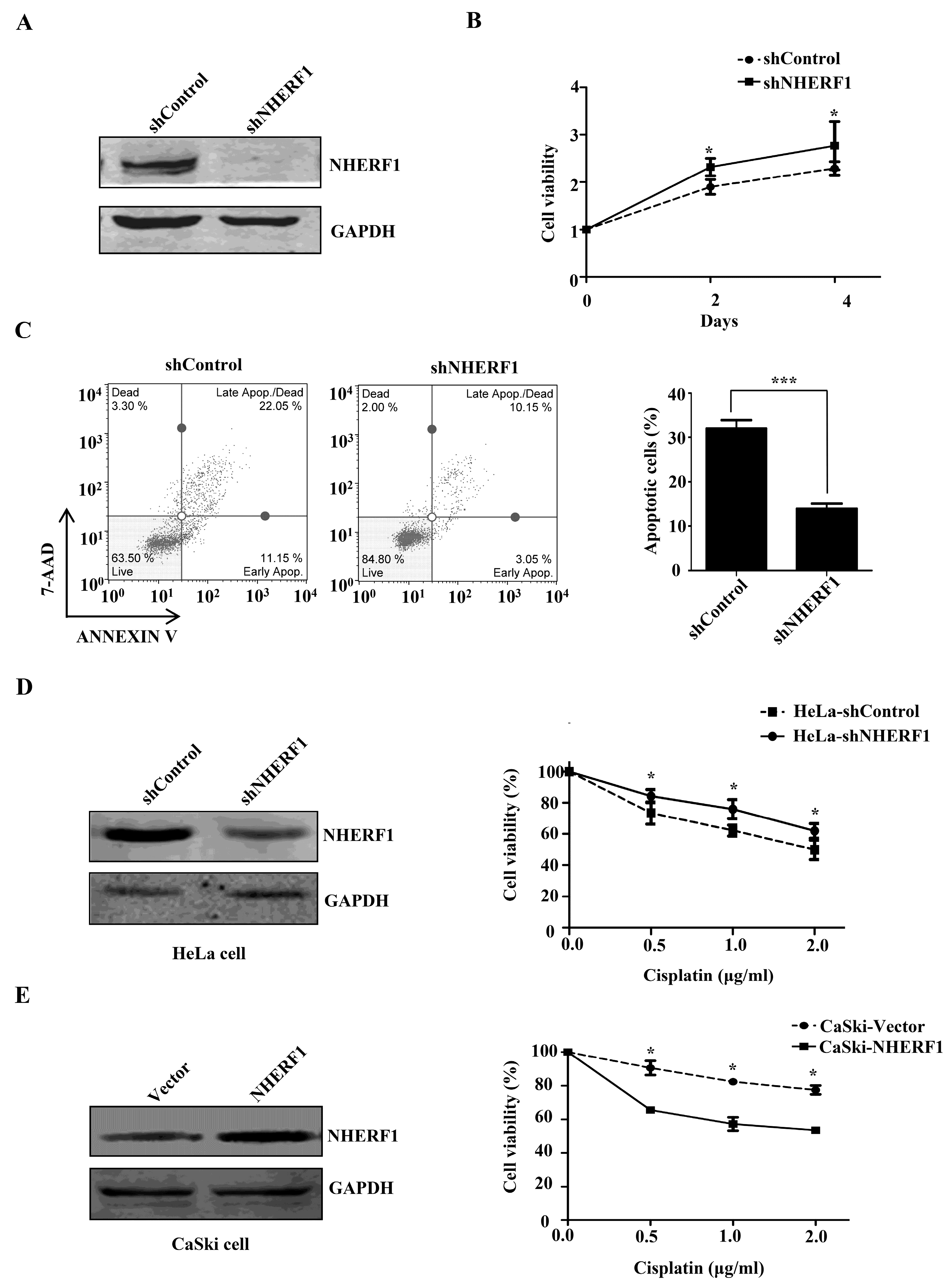 Ijms 18 00005 g003 550
