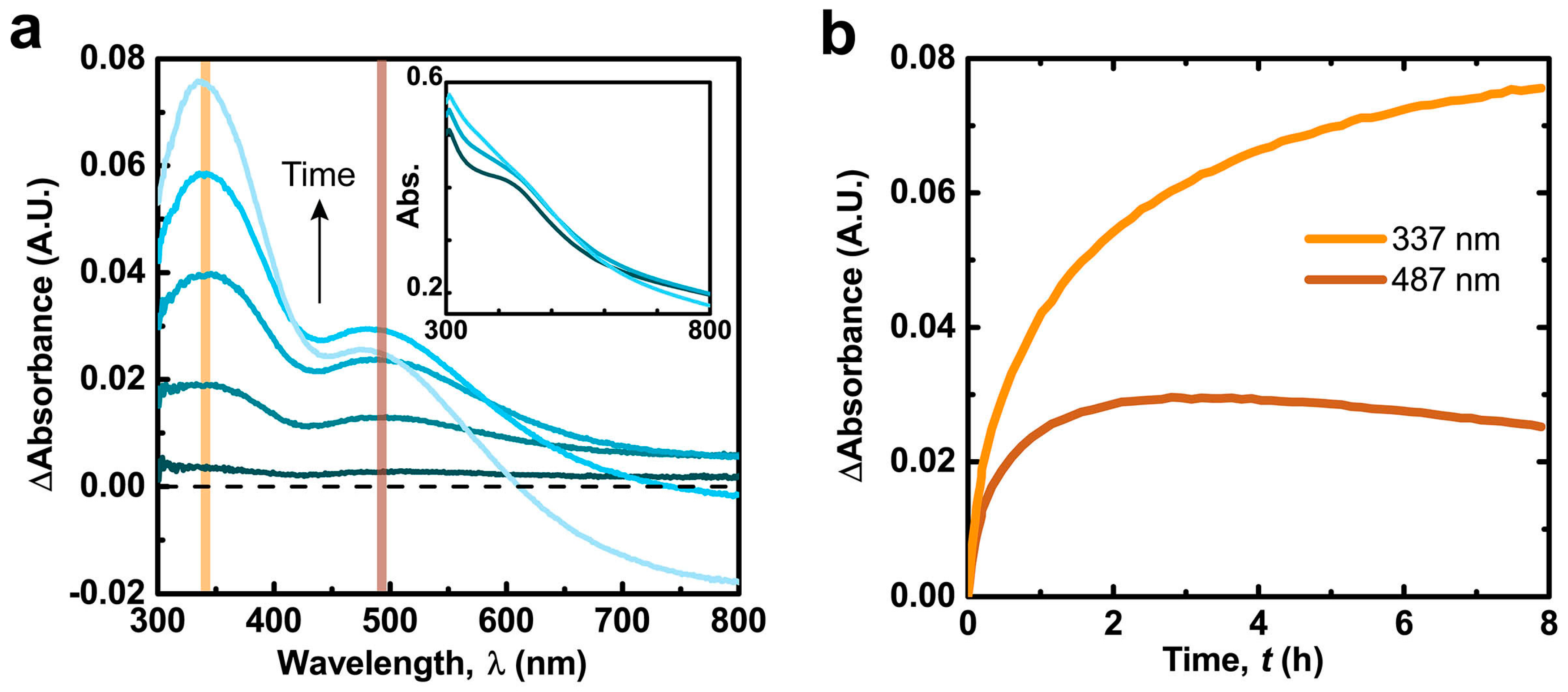 Ijms Free Full Text Calcium Mediated Control Of Polydopamine Film Oxidation And Iron Chelation Html