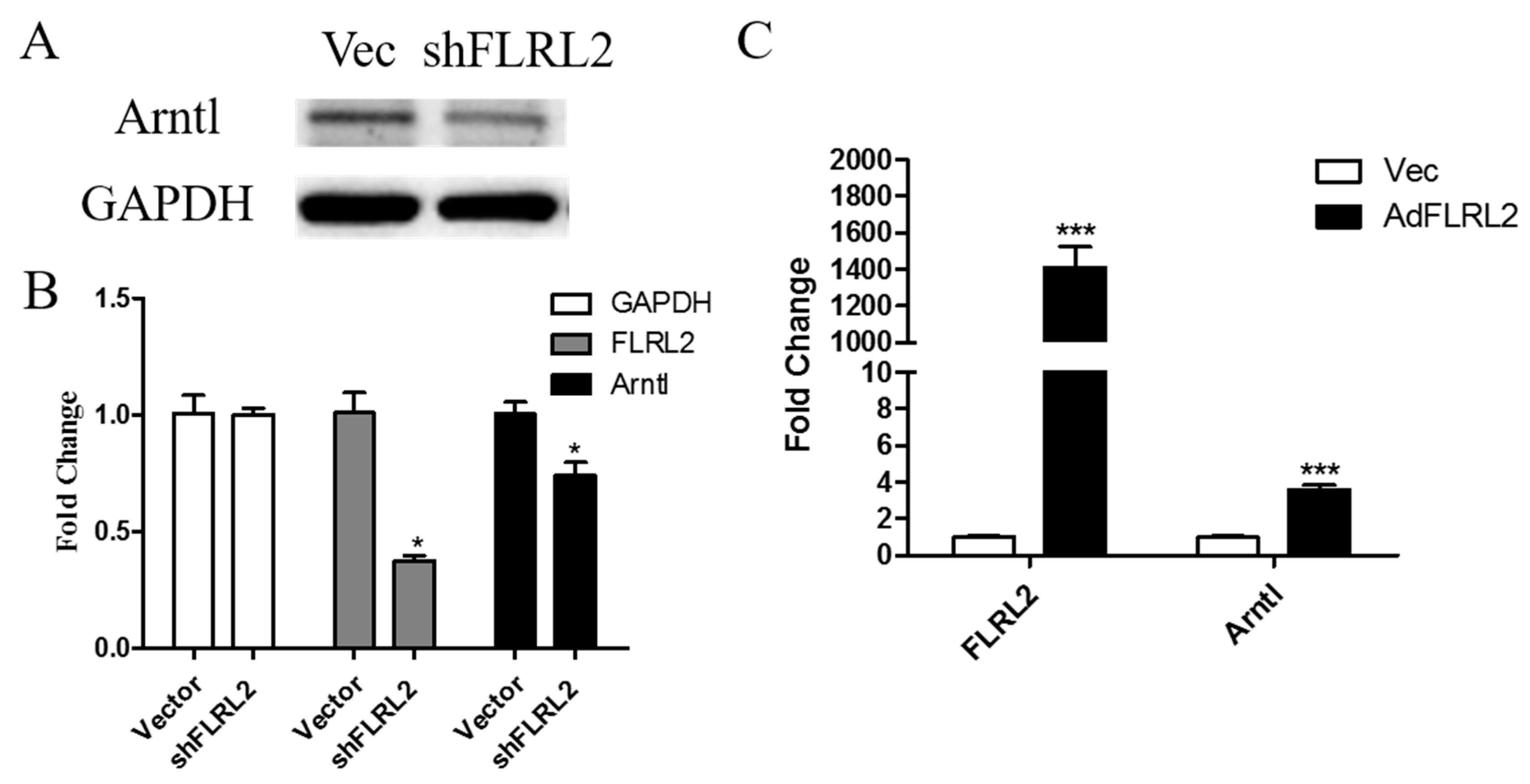 Ijms Free Full Text Long Non Coding Rna Profiling In A Non Alcoholic Fatty Liver Disease Rodent Model New Insight Into Pathogenesis Html Ijms Free Full Text Long Non Coding Rna Profiling In A Non Alcoholic Fatty Liver Disease Rodent Model New Insight Into Pathogenesis Html