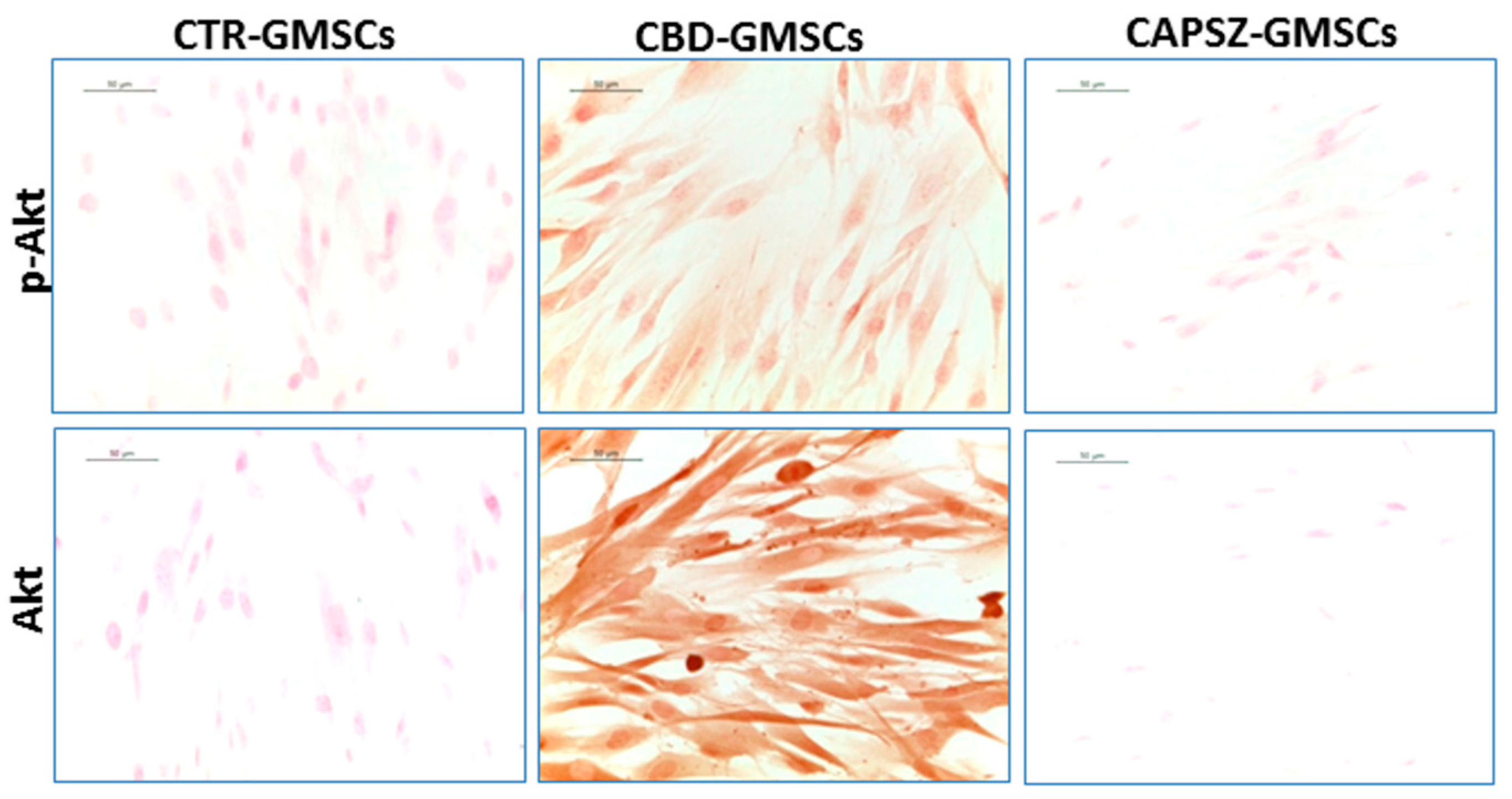 Ijms 18 00026 g005a