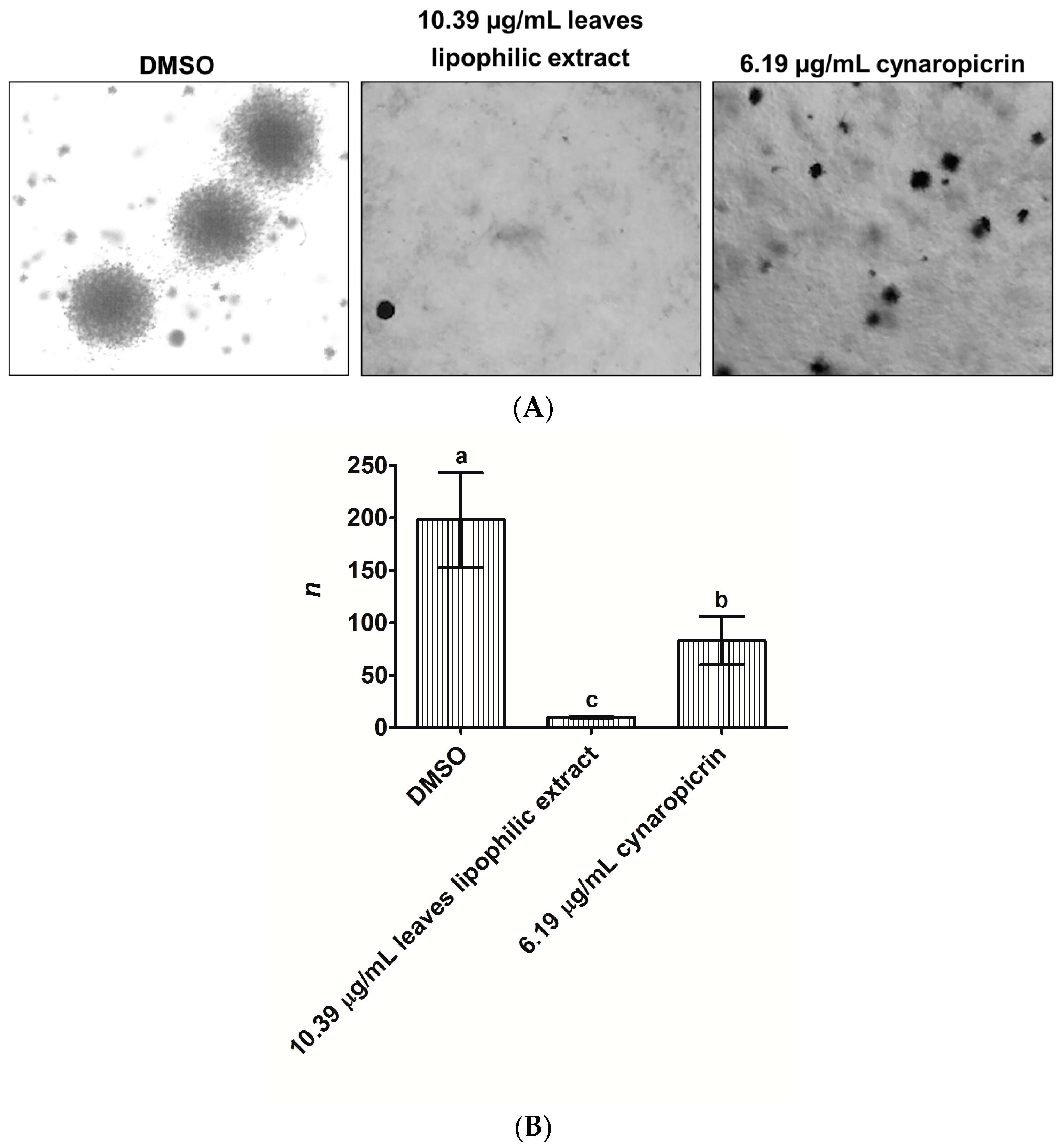 Ijms Free Full Text Antiproliferative Effects Of Cynara Cardunculus L Var Altilis Dc Lipophilic Extracts Html