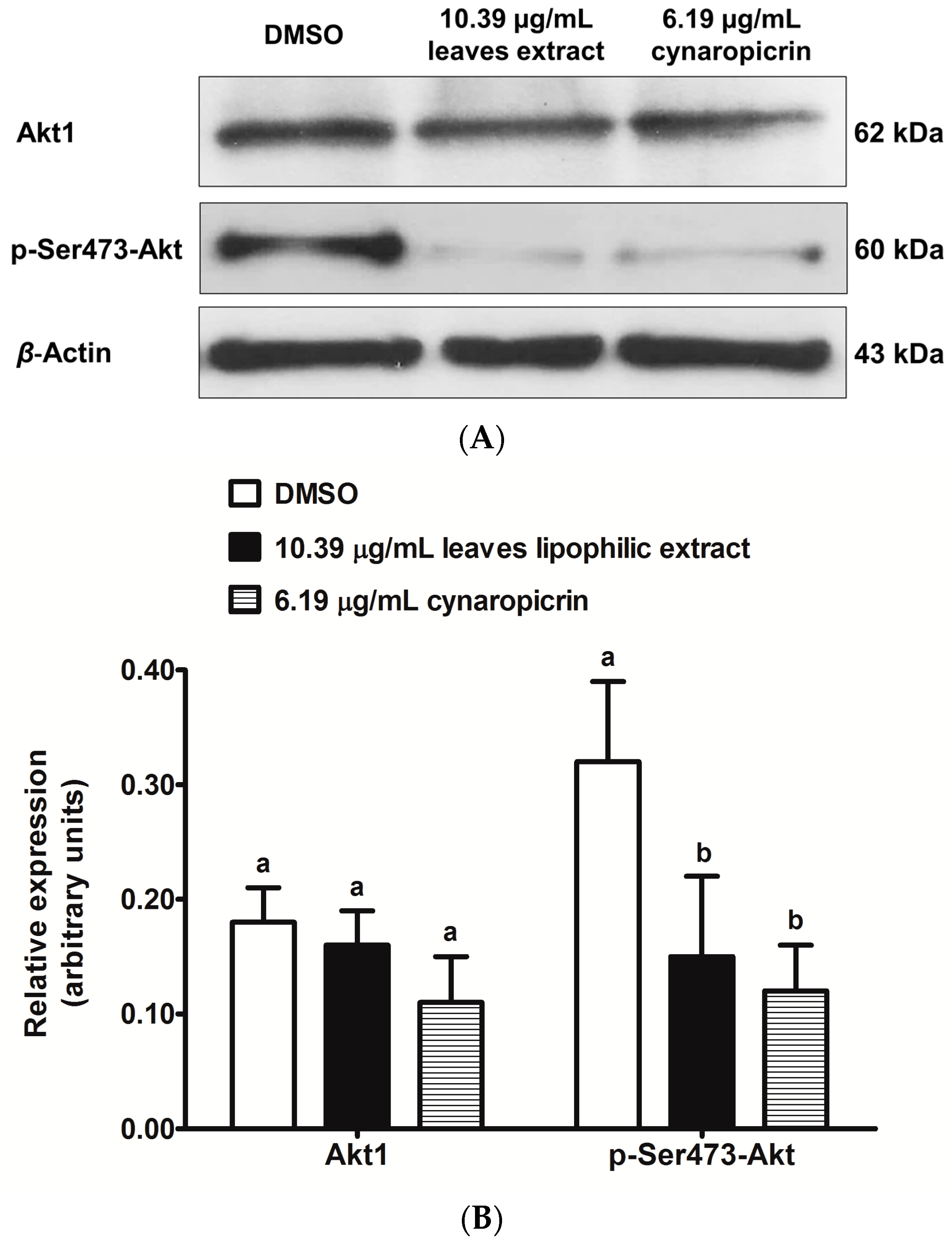 Ijms Free Full Text Antiproliferative Effects Of Cynara Cardunculus L Var Altilis Dc Lipophilic Extracts Html