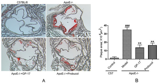 Gypenoside XVII Prevents Atherosclerosis by Attenuating