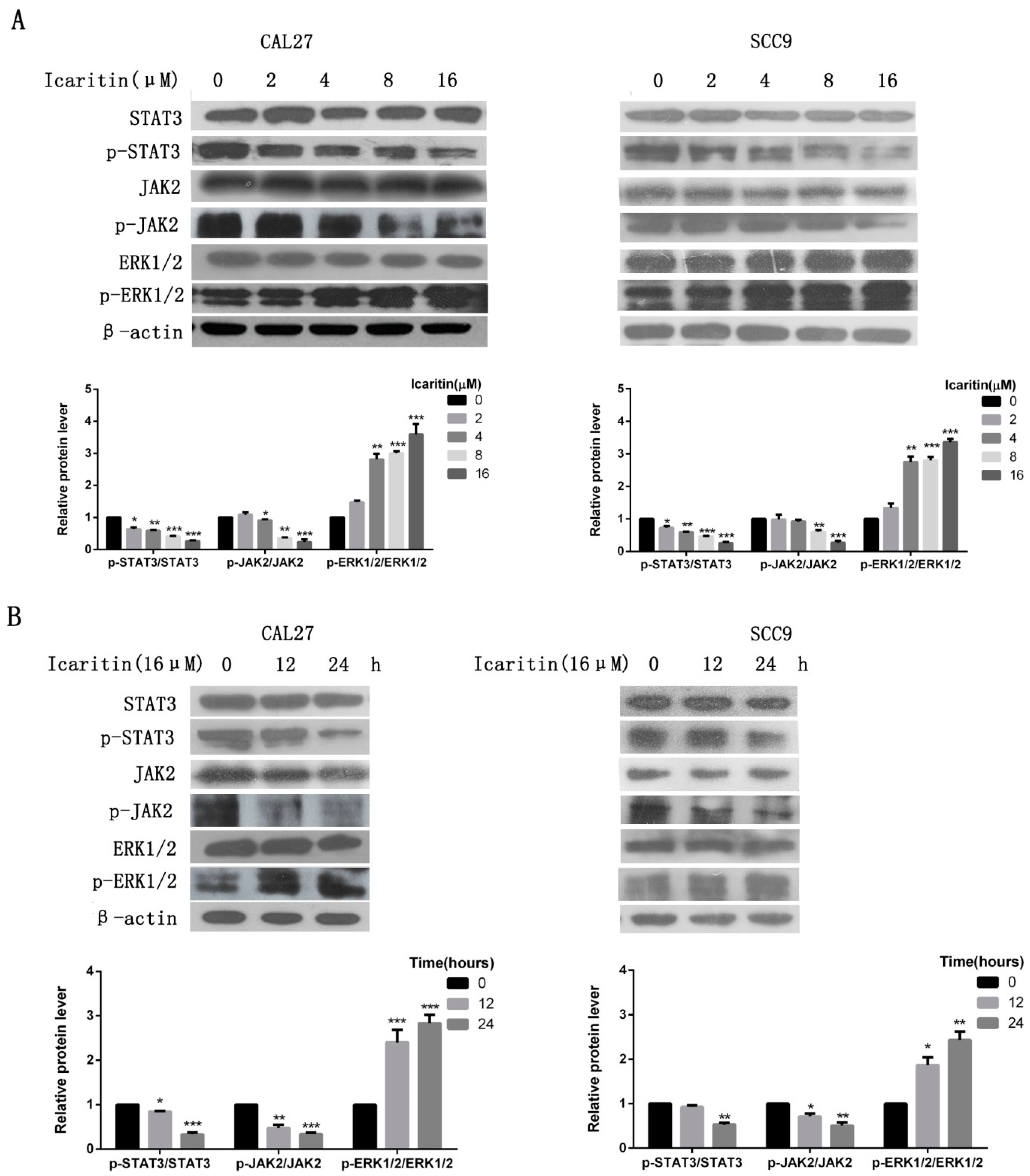 Ijms 18 00132 g005 550