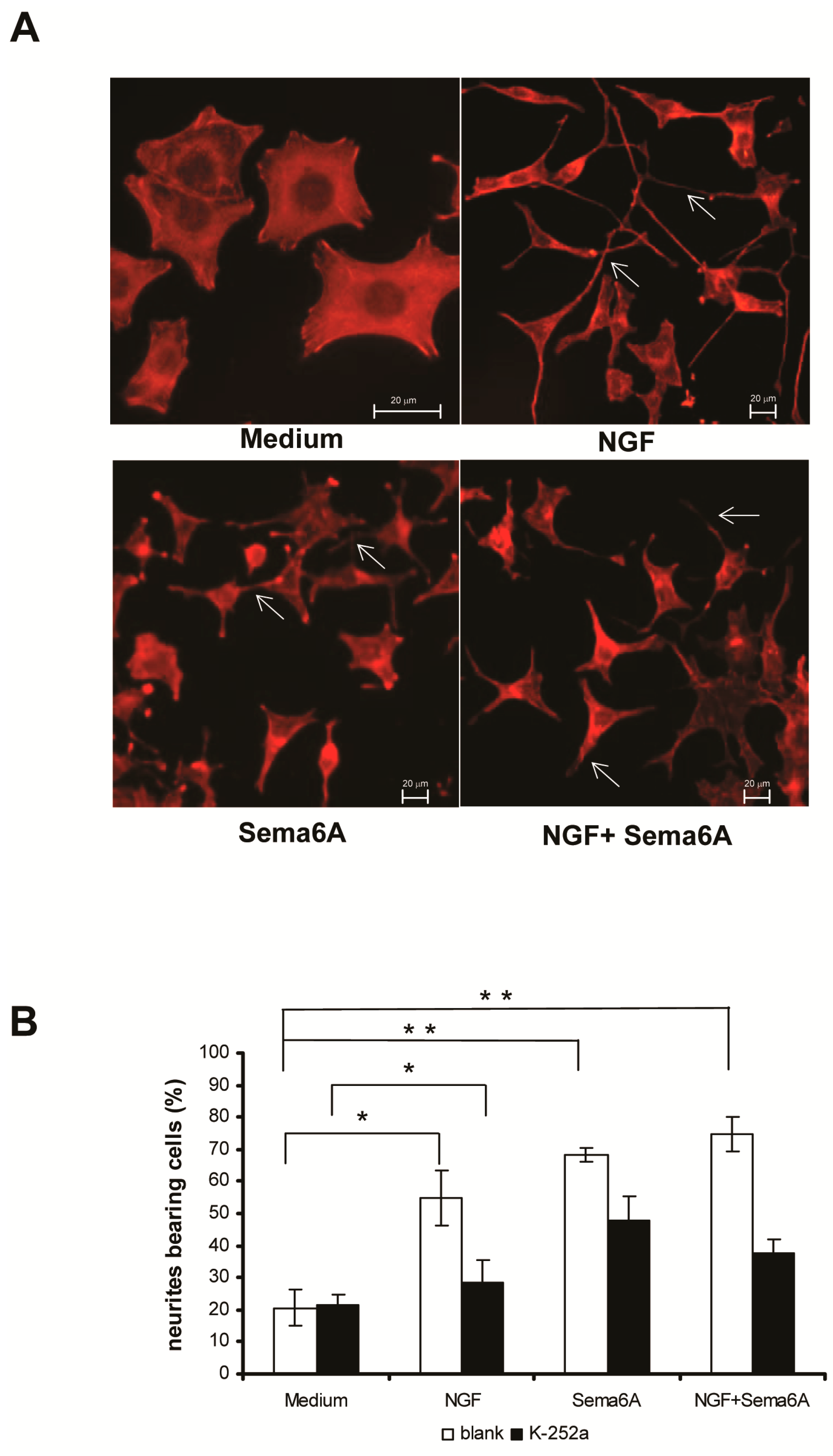 Ijms 18 00148 g001 550