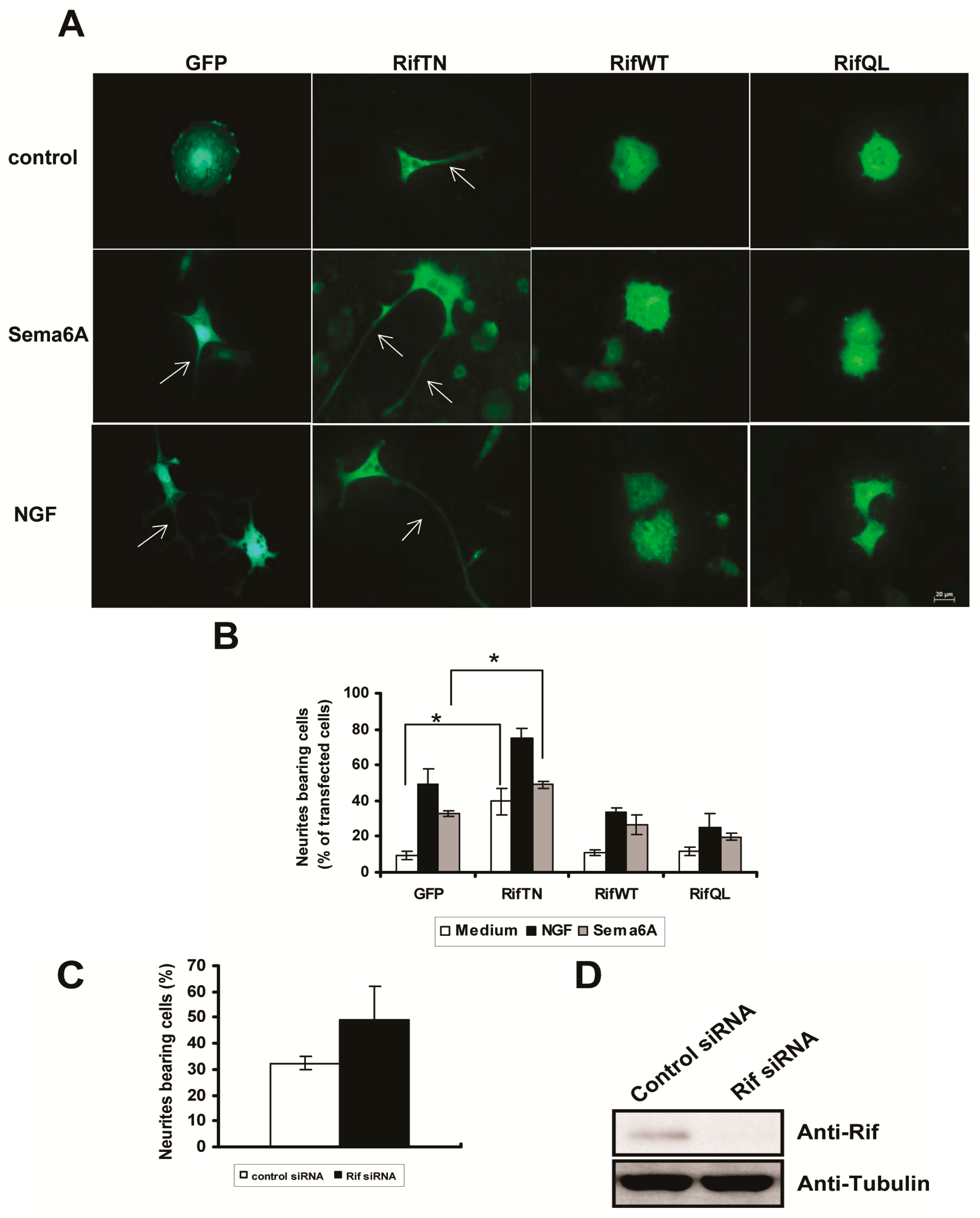 Ijms 18 00148 g003 550