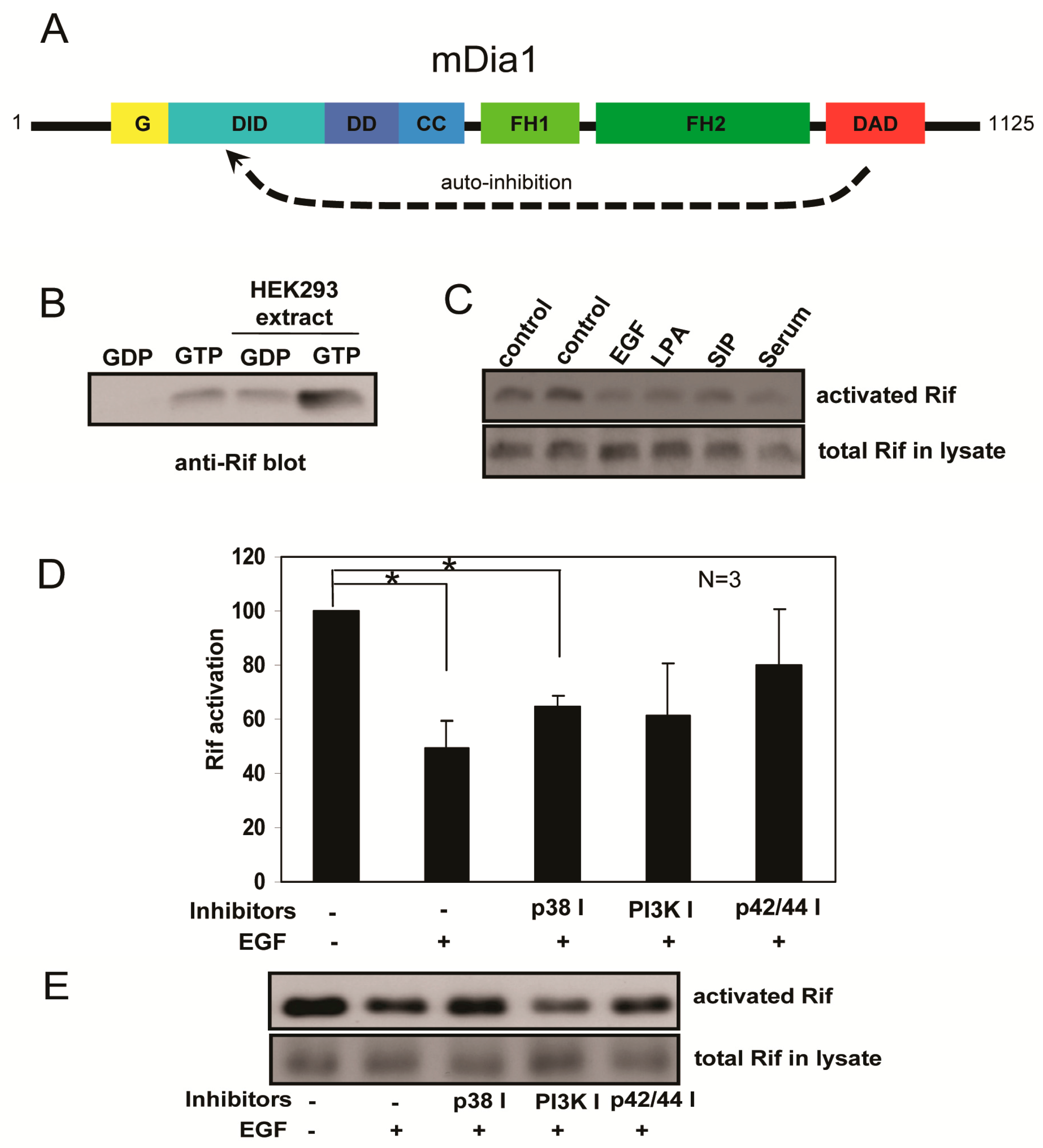 Ijms 18 00148 g004 550