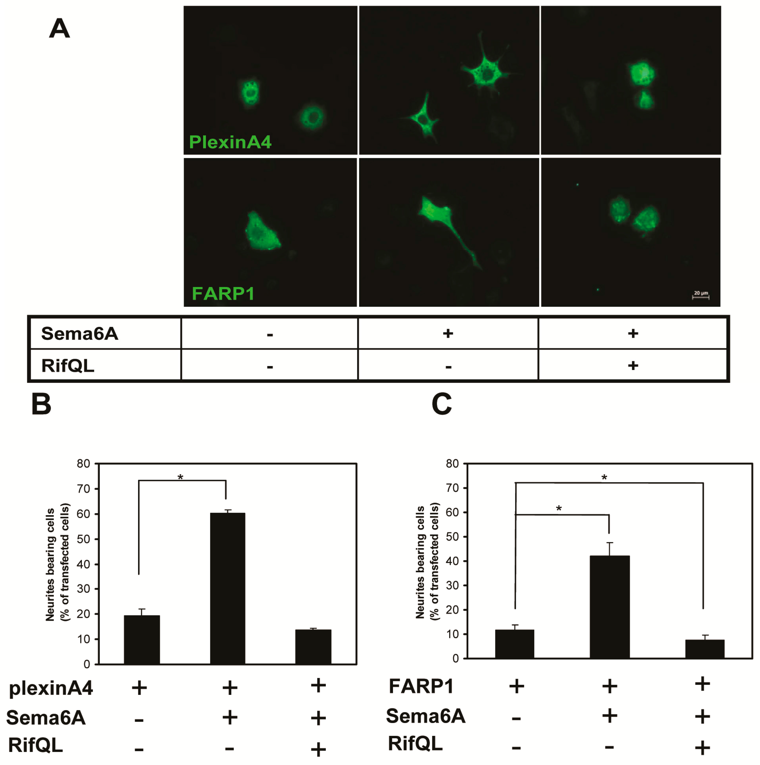 Ijms 18 00148 g005 550