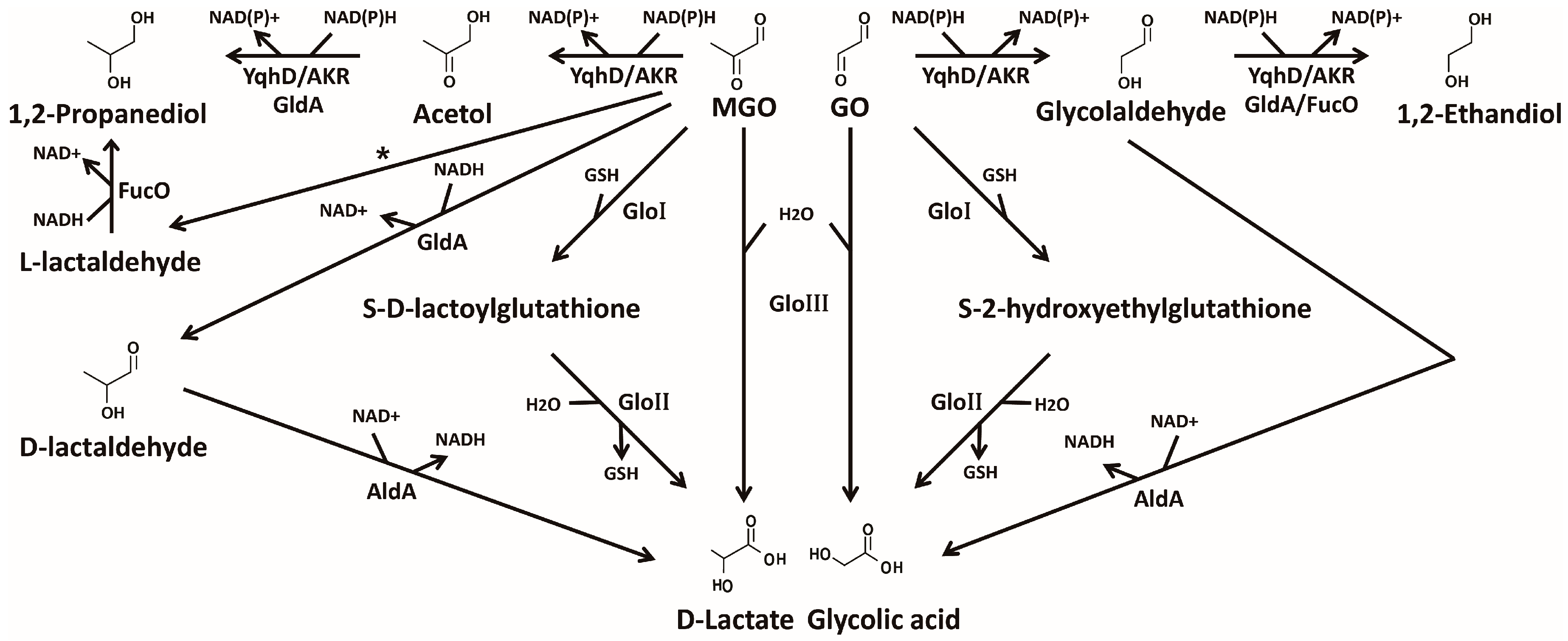 Ijms 18 00169 g002