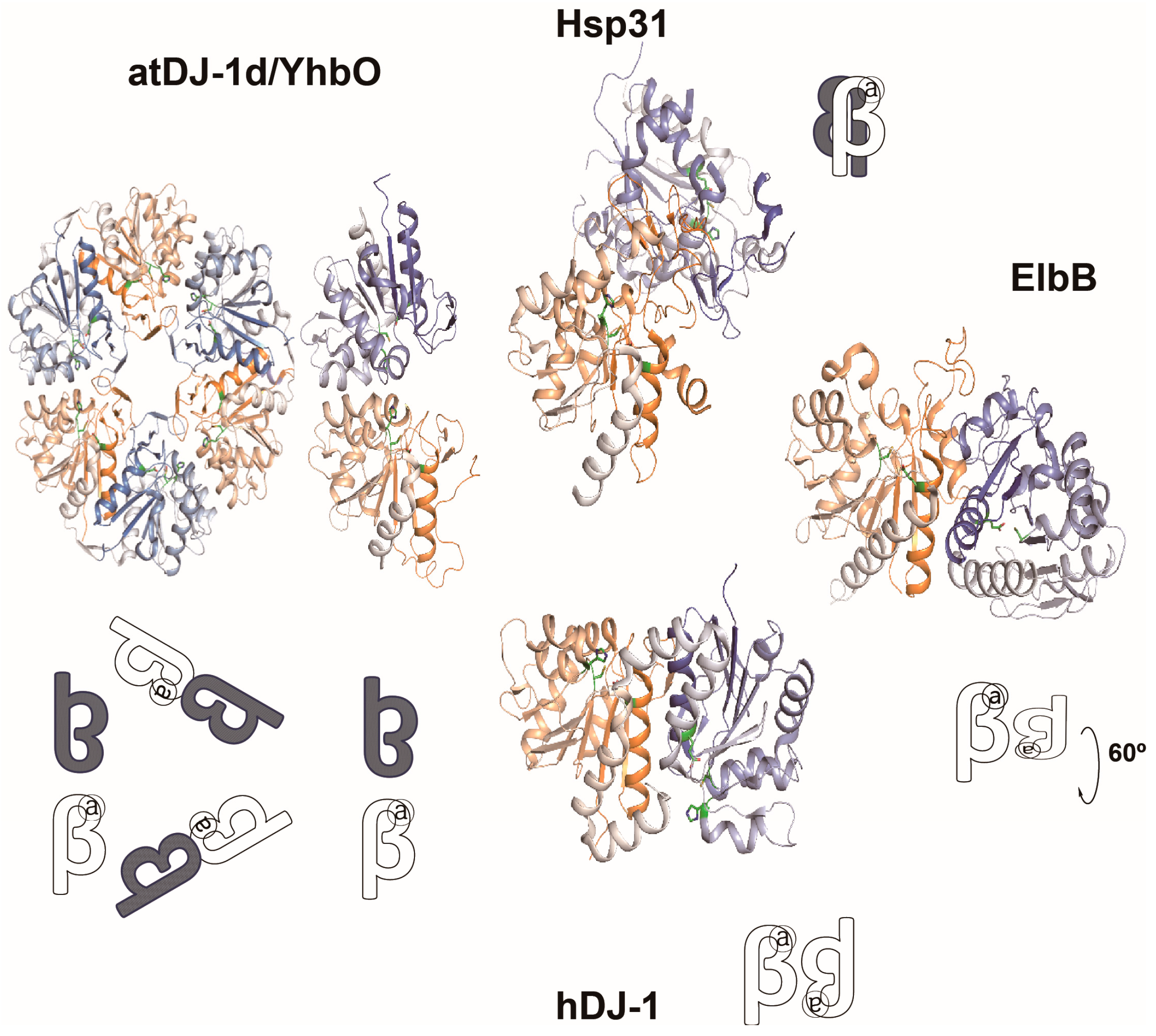 Ijms 18 00169 g003