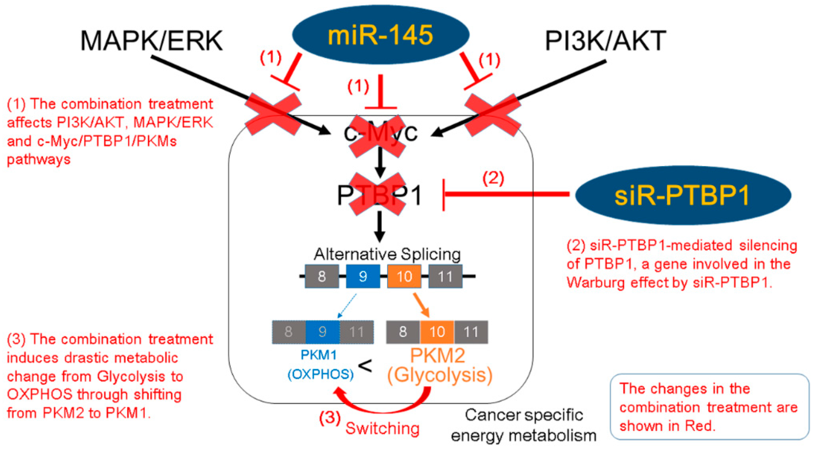 Ijms 18 00179 sch001 550
