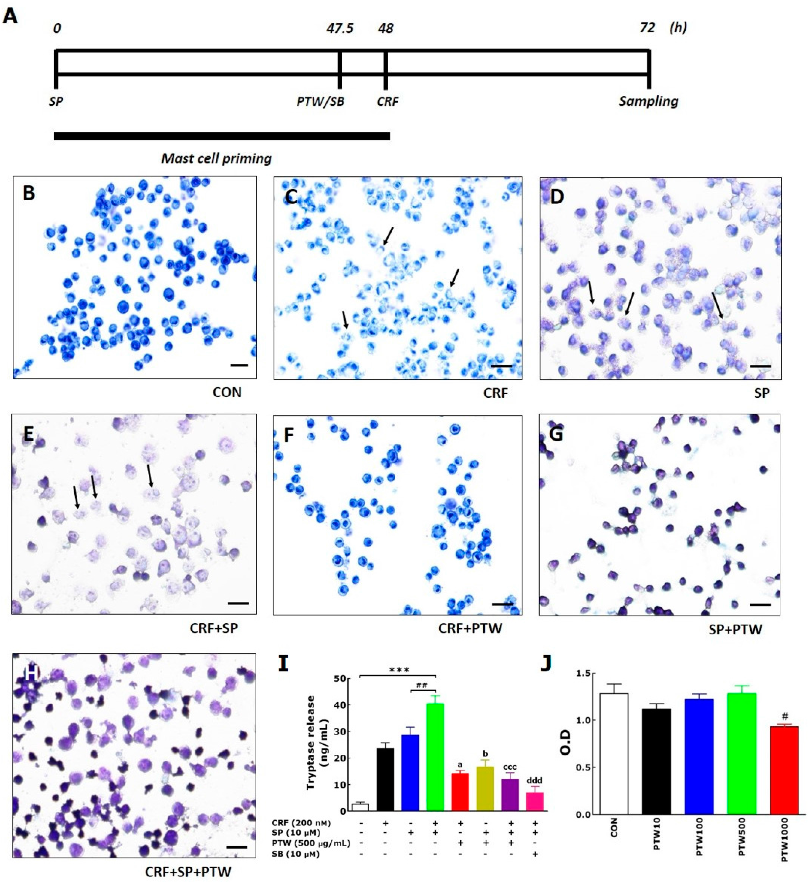 Ijms 18 00190 g003 550