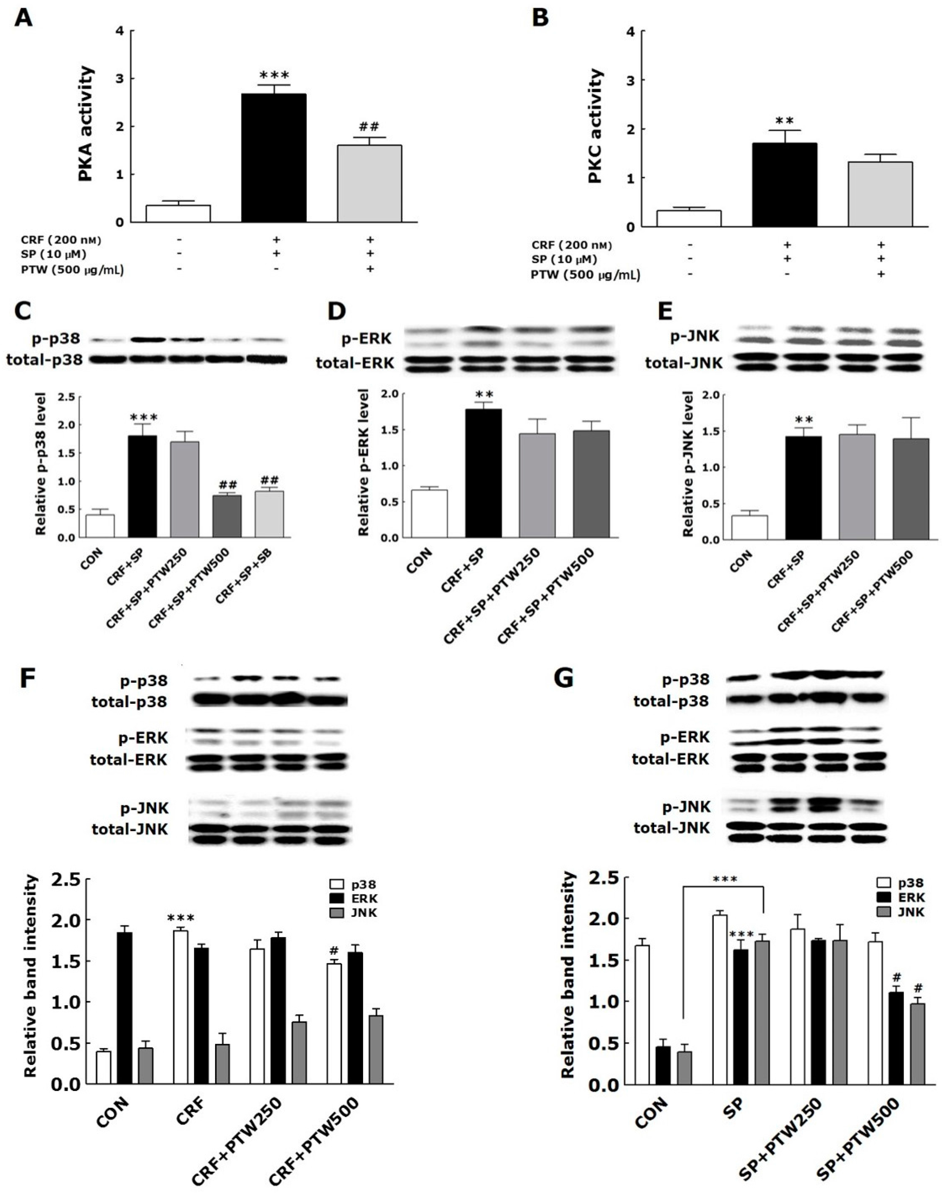 Ijms 18 00190 g004 550