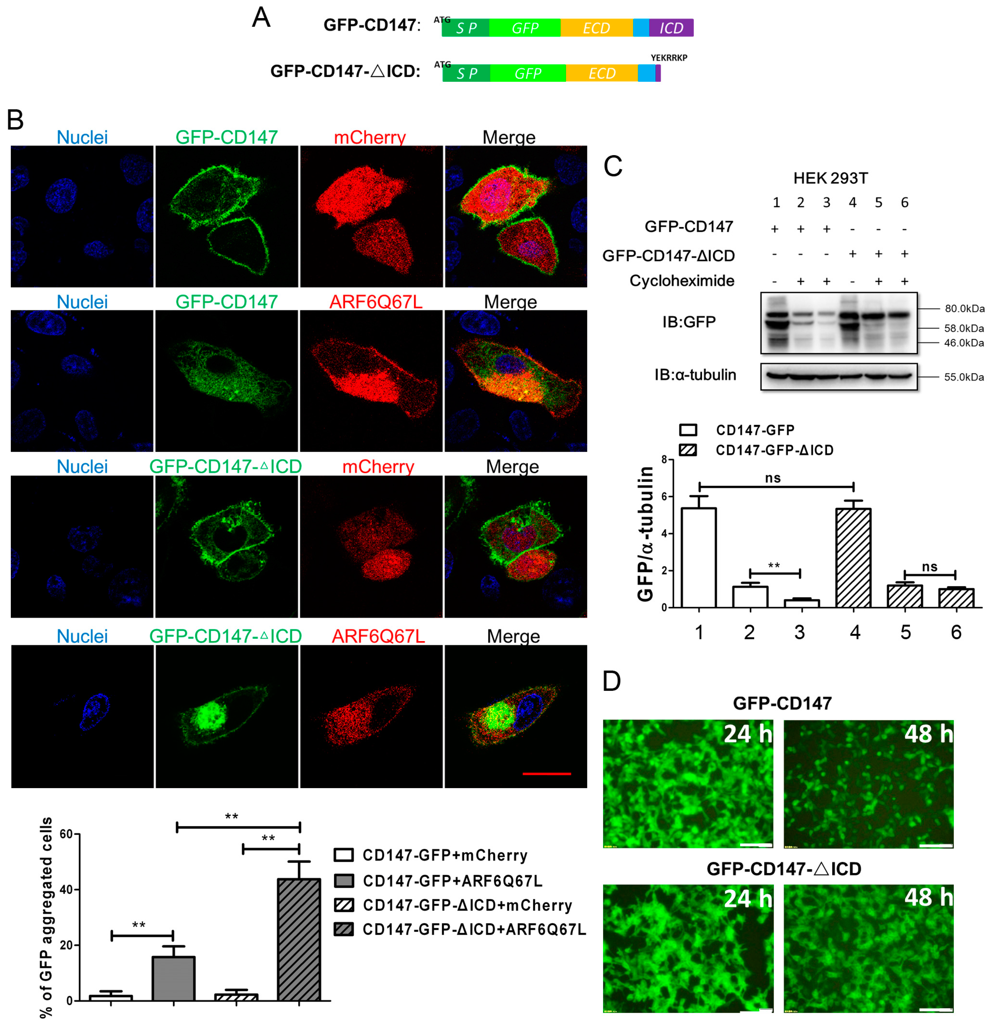 Ijms 18 00212 g001 550