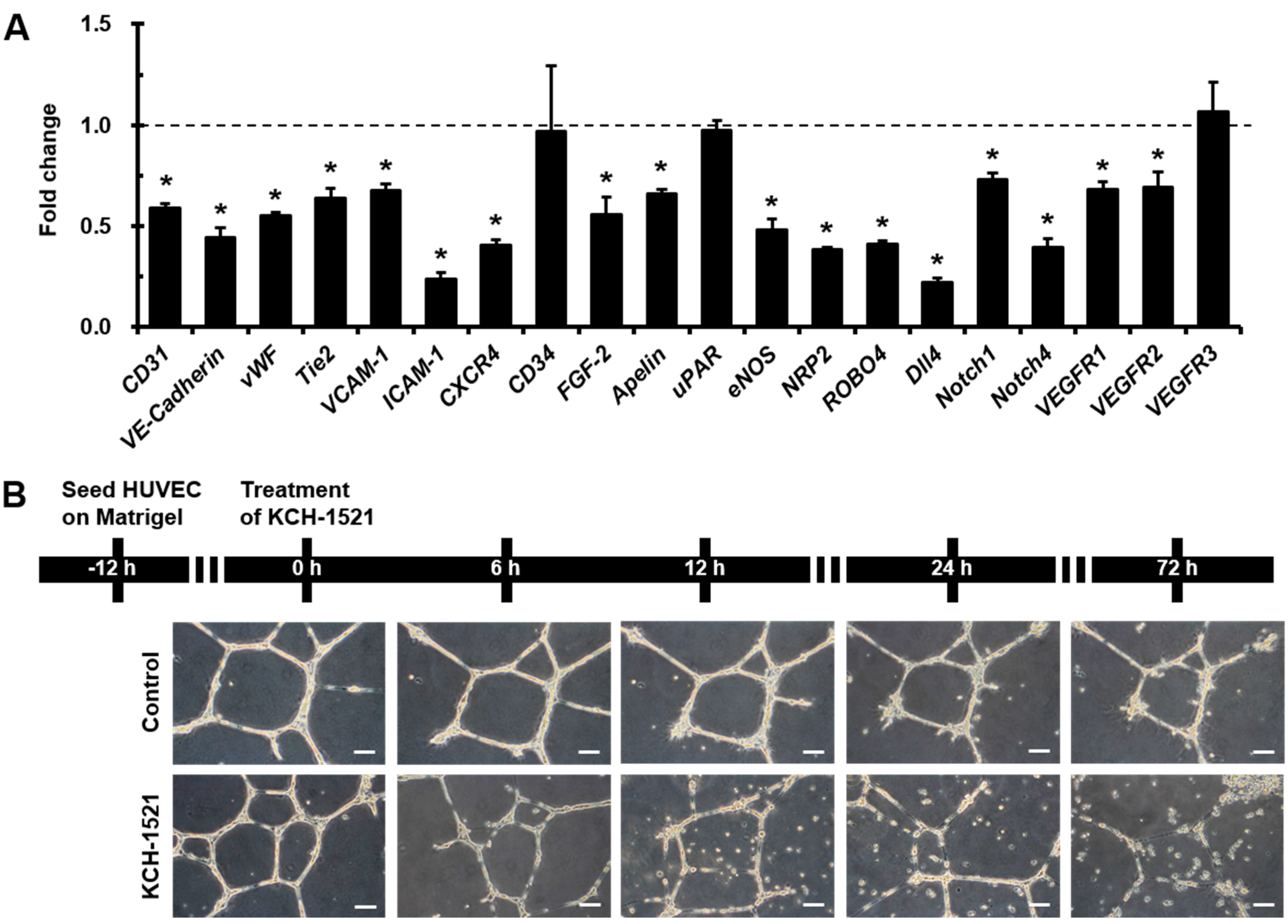 Ijms 18 00221 g003 550