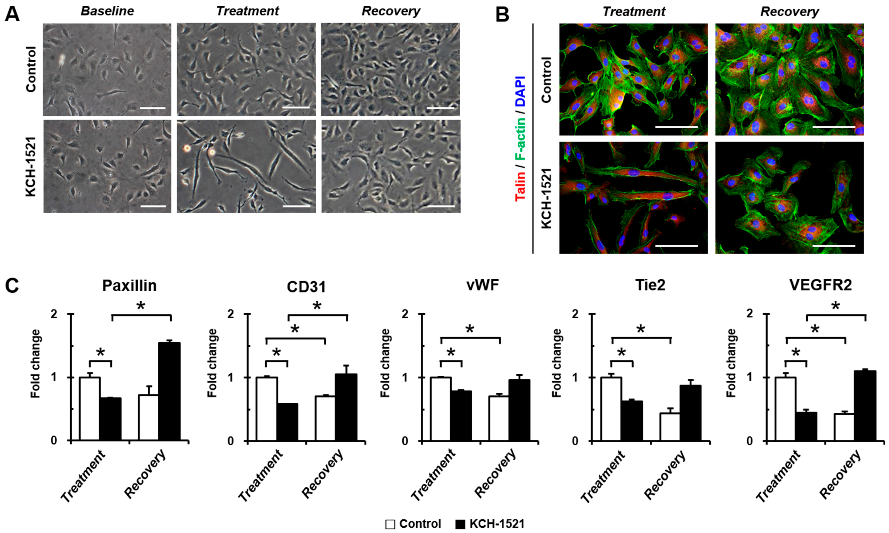 Ijms 18 00221 g004 550