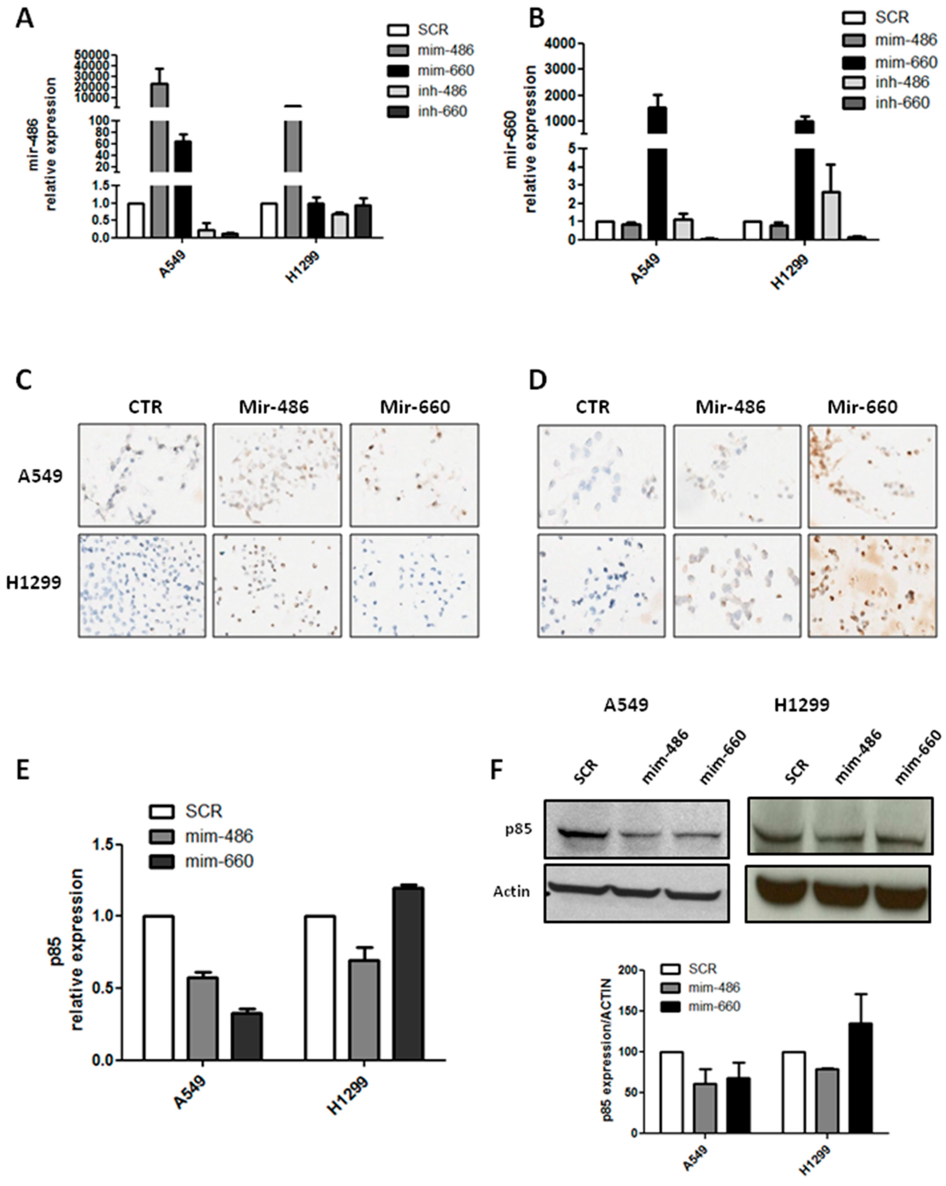 Ijms 18 00222 g001 550