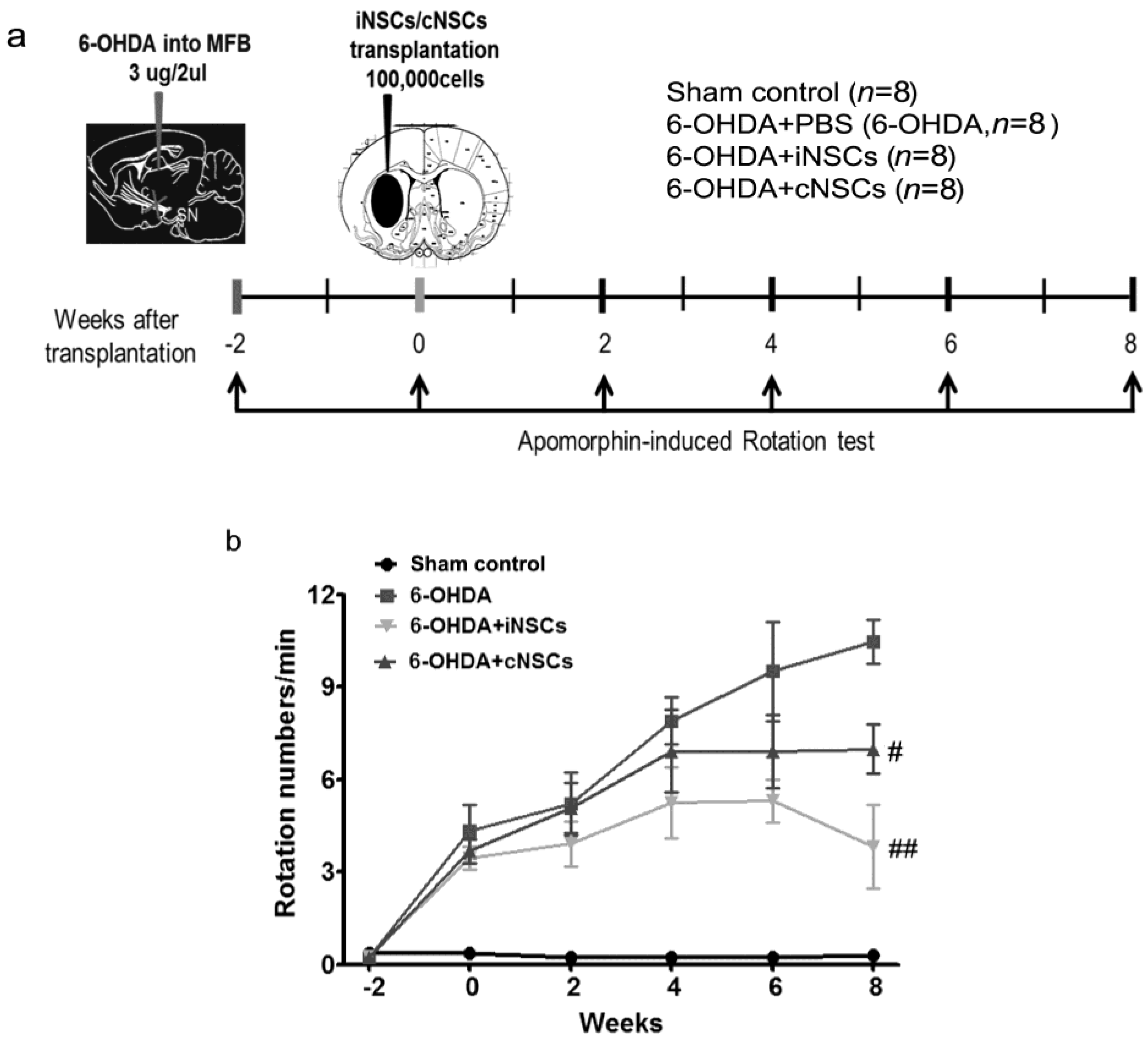 Ijms 18 00224 g007