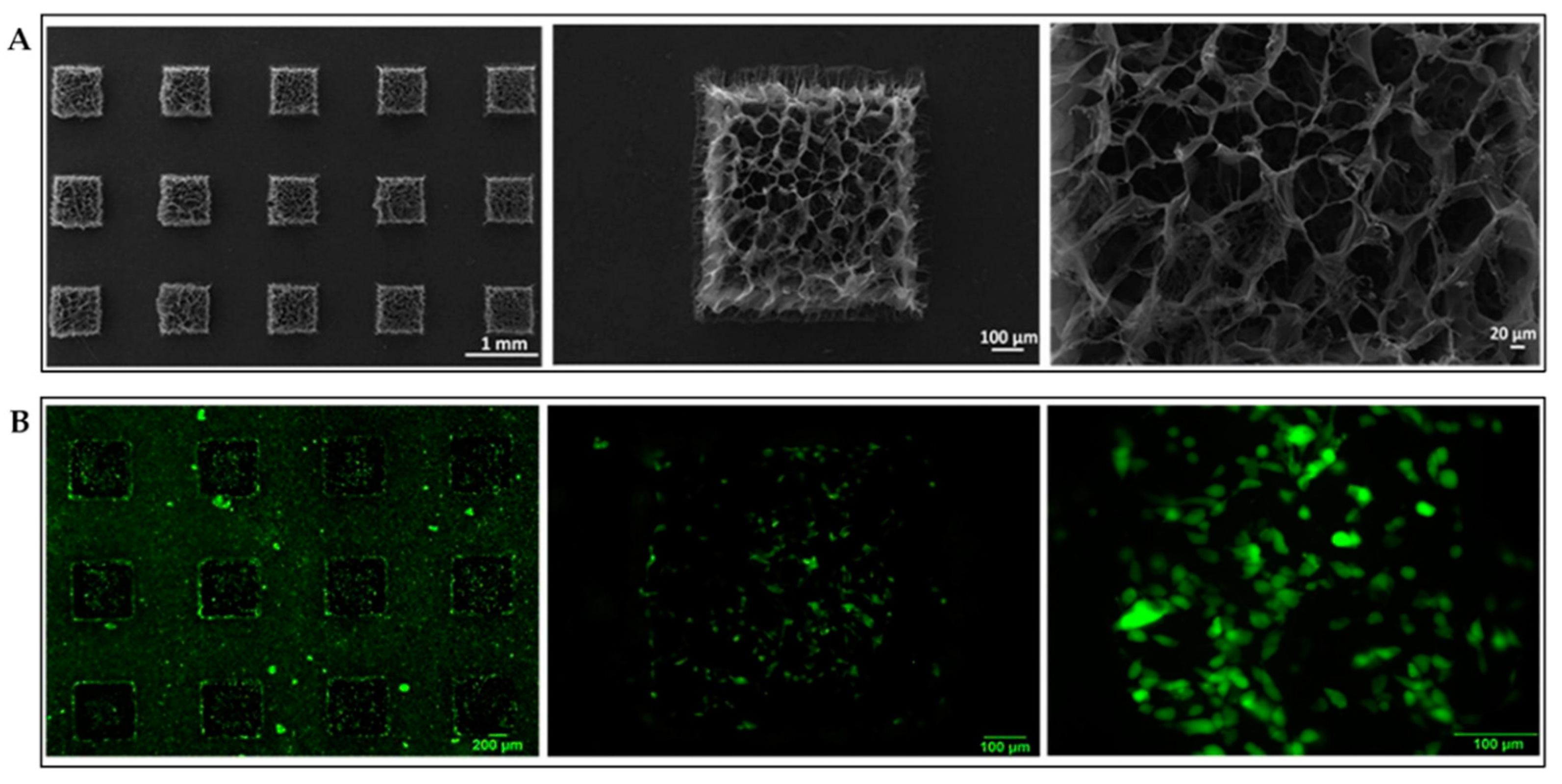 of Full-Text IJMS Structure Free ... | Construction | Review A ... of Review Free Construction IJMS A | Structure Full-Text |