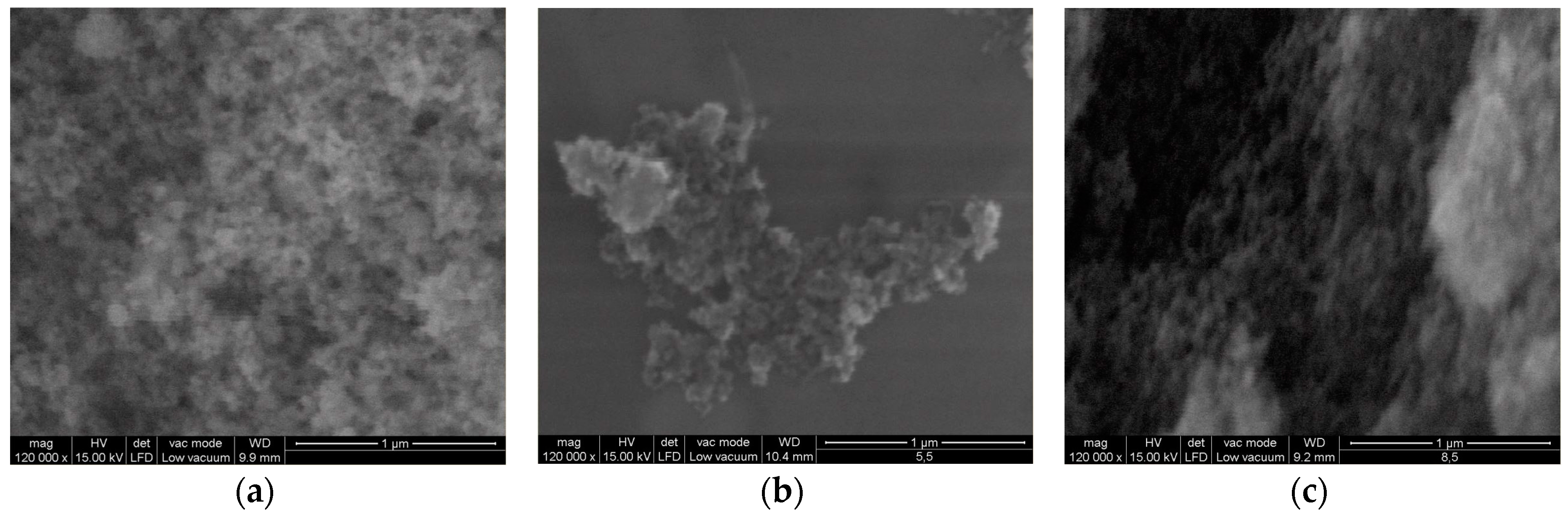 Ijms 18 00249 g004 550