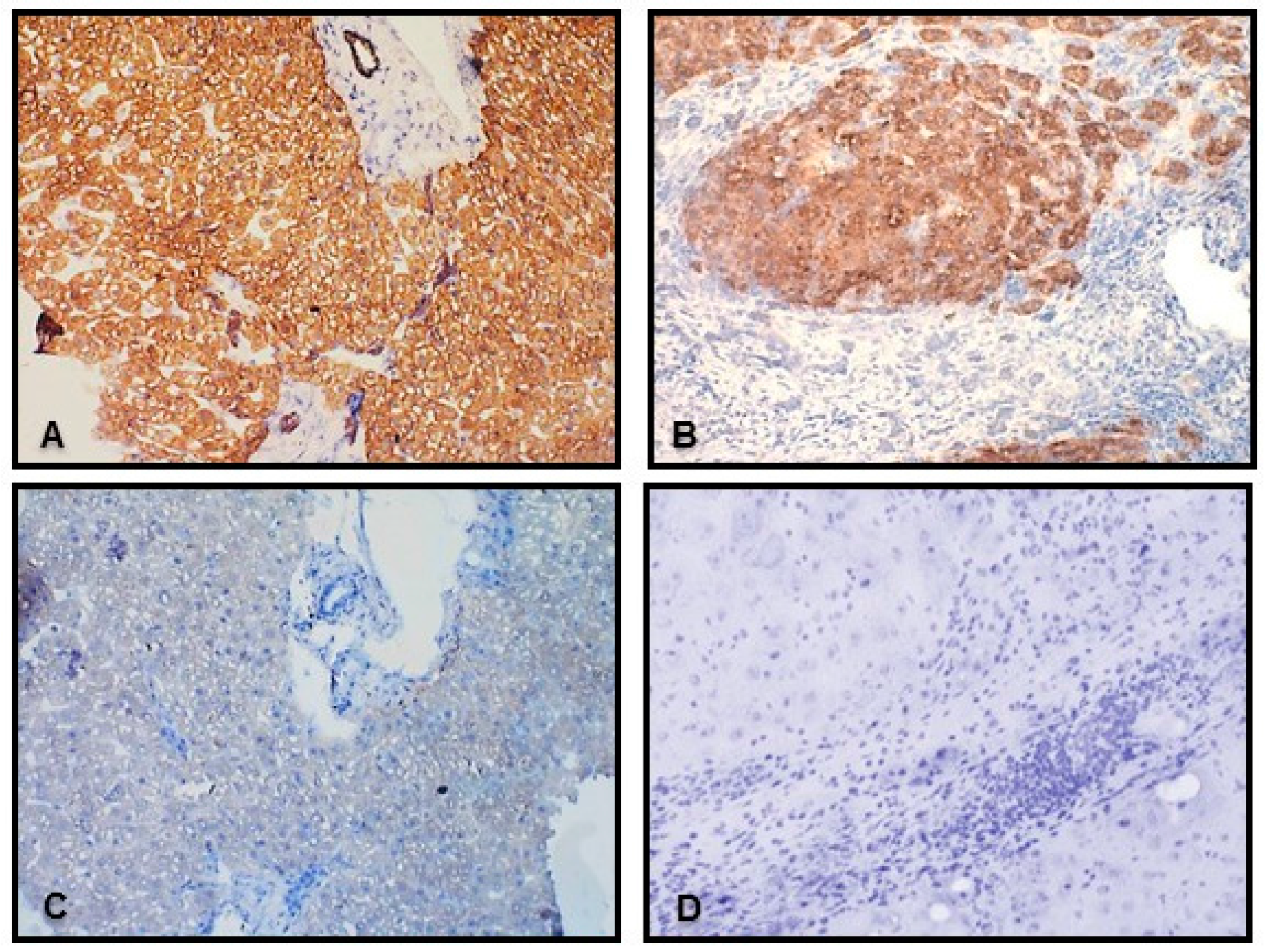 Ijms 18 00289 g002a 550