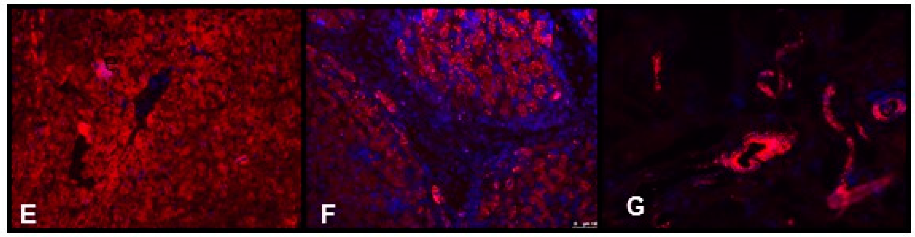 Ijms 18 00289 g002b 550