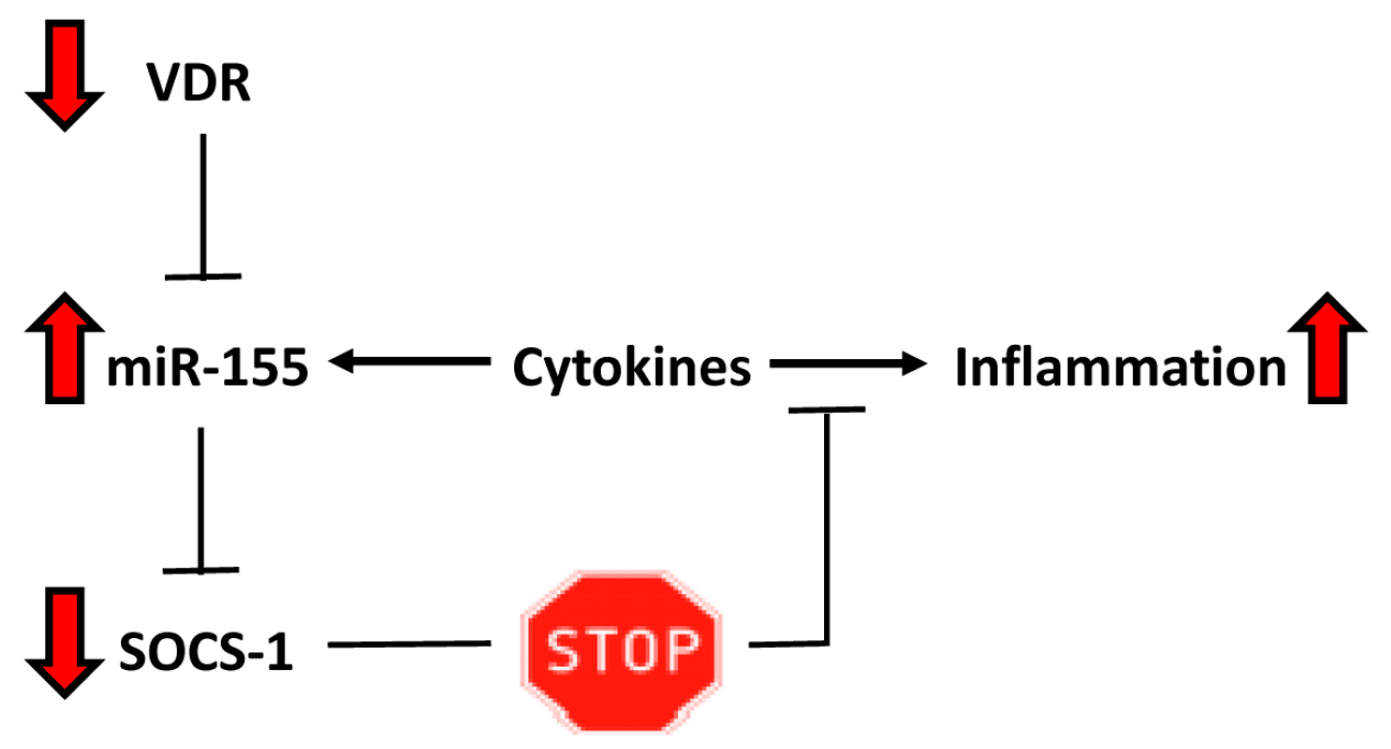 Ijms 18 00289 g007 550