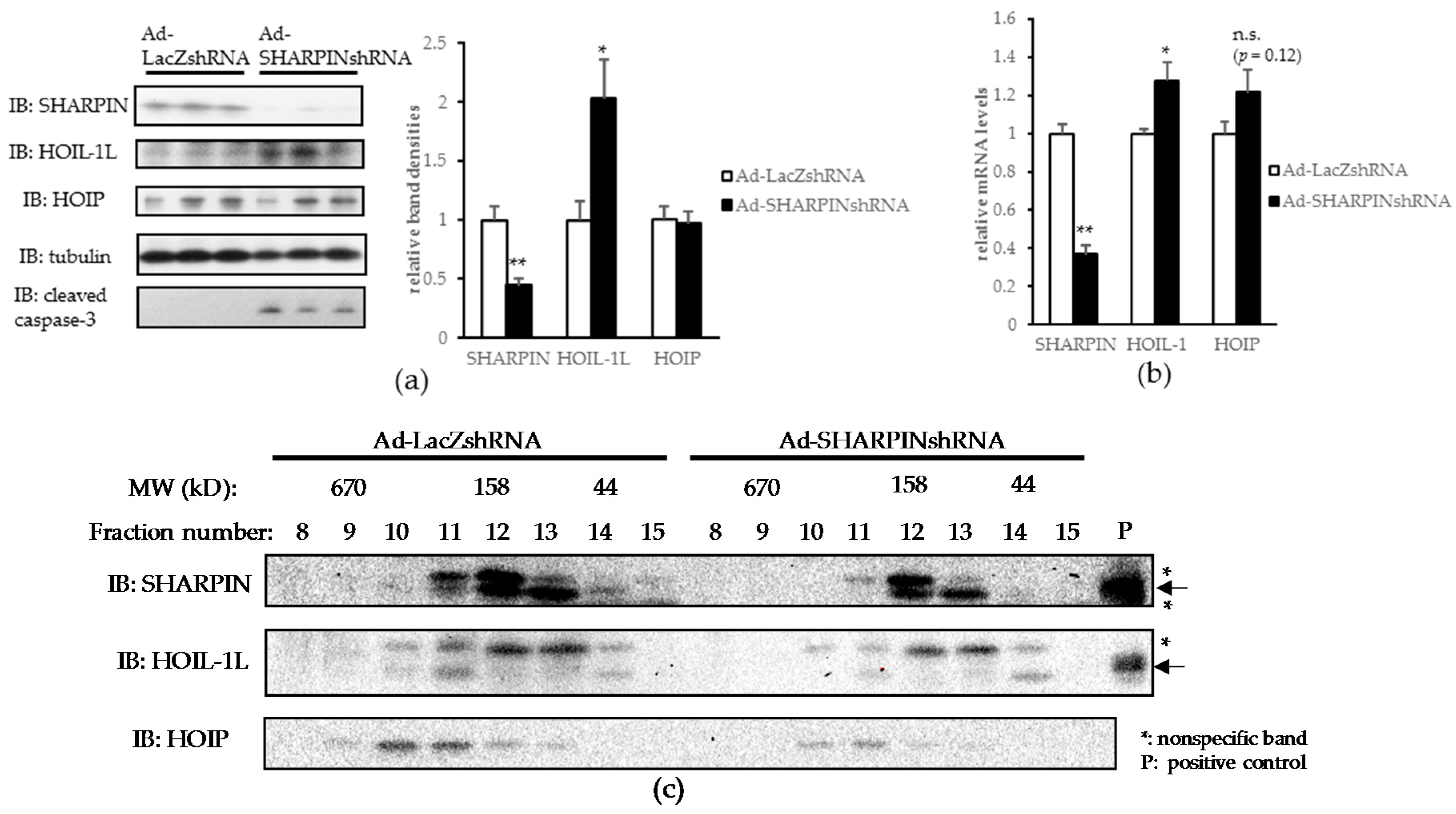 Ijms 18 00326 g002a 550