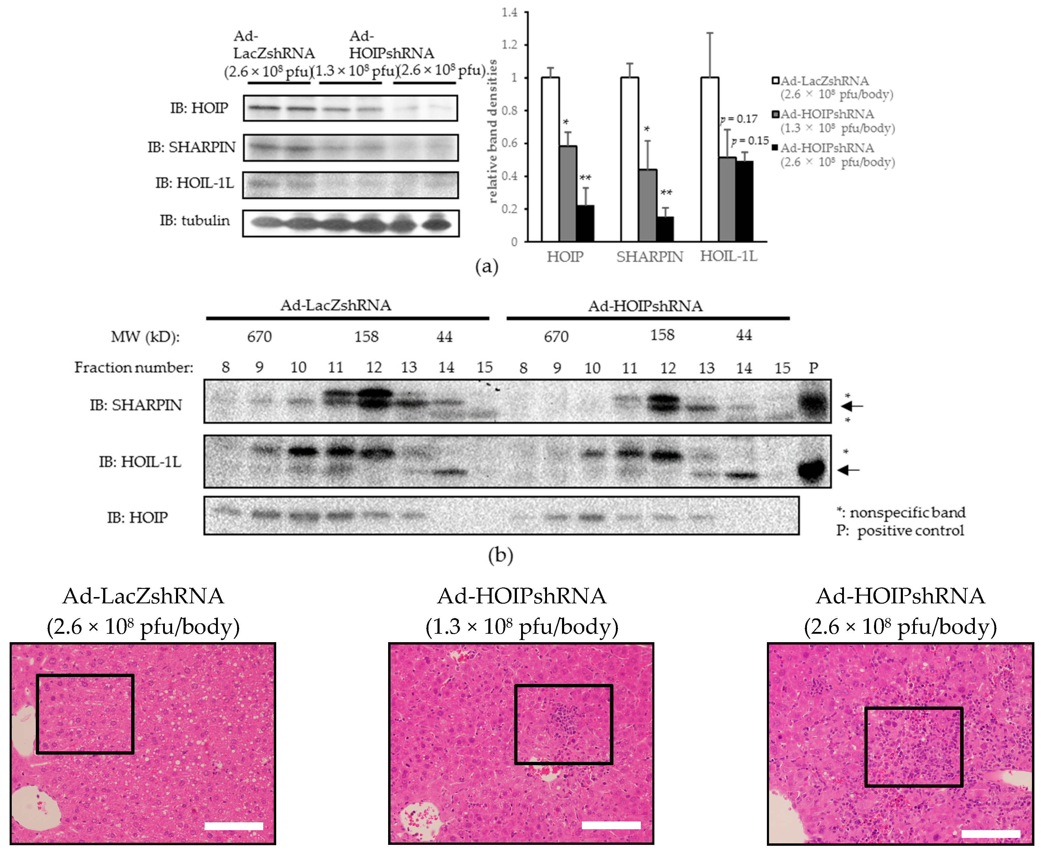 Ijms 18 00326 g003a 550