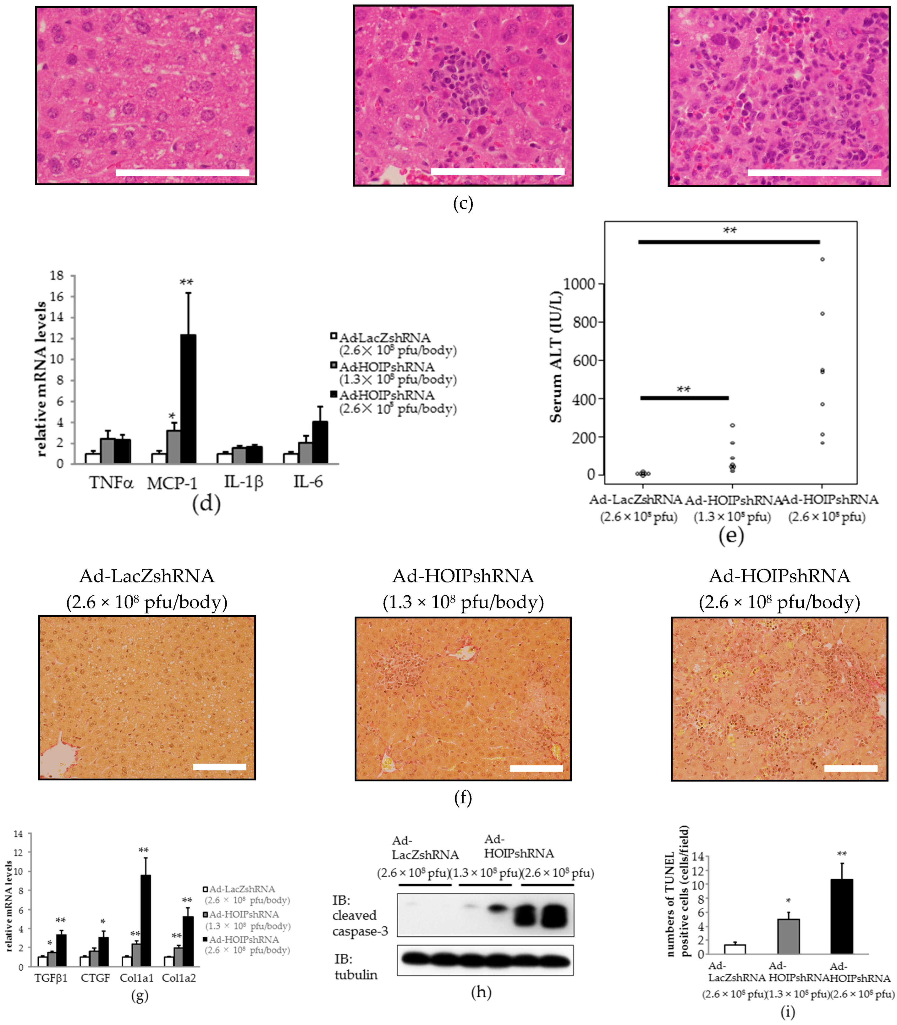 Ijms 18 00326 g003b 550