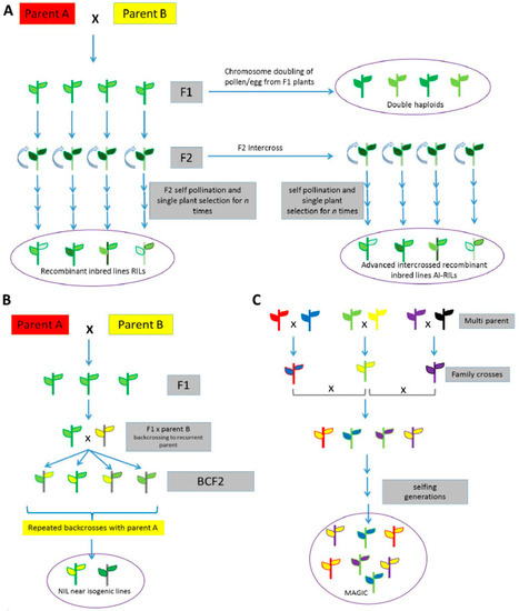 Potential Uses of Wild Germplasms of Grain Legumes for Crop