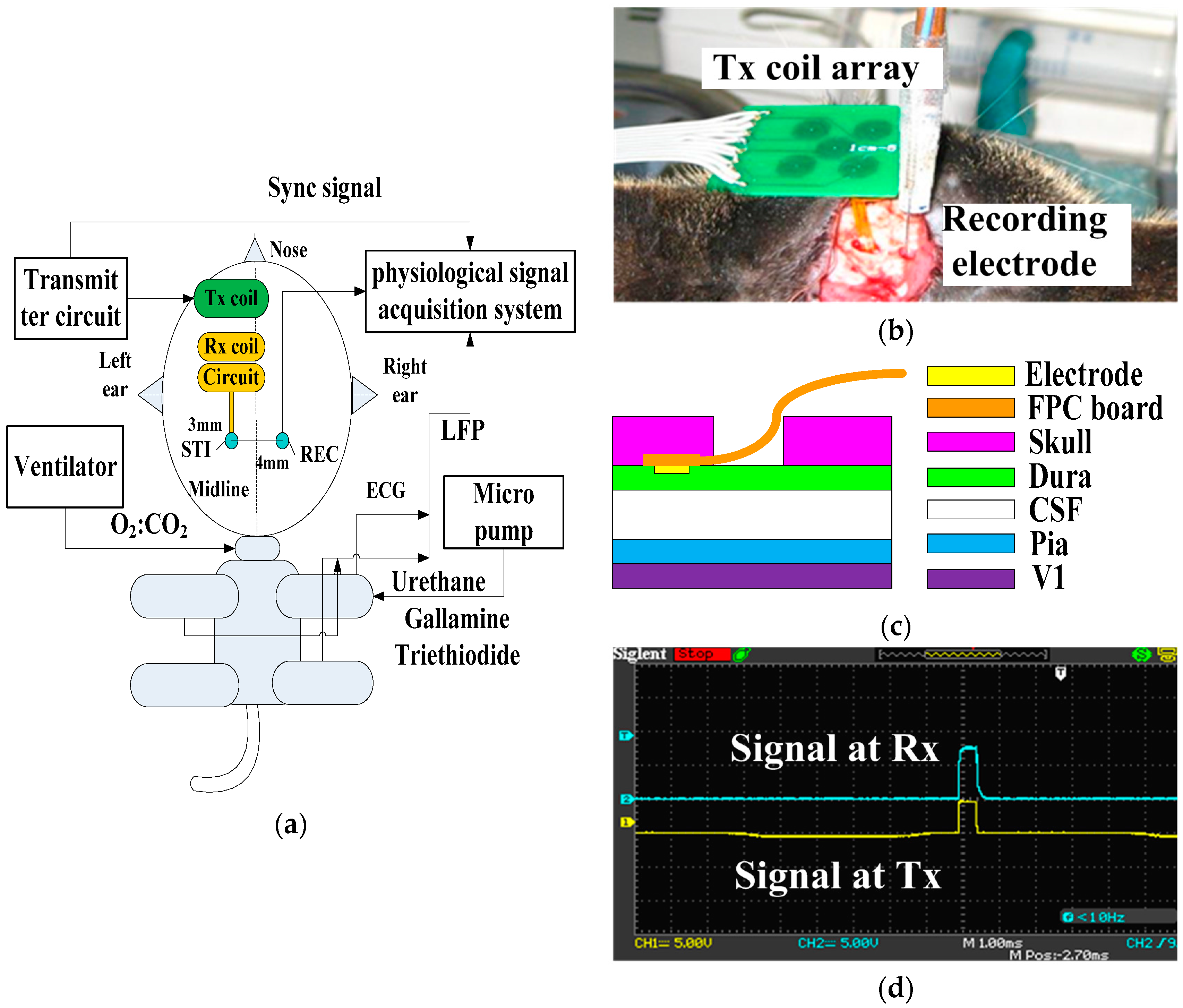 Ijms 18 00335 g003a 550