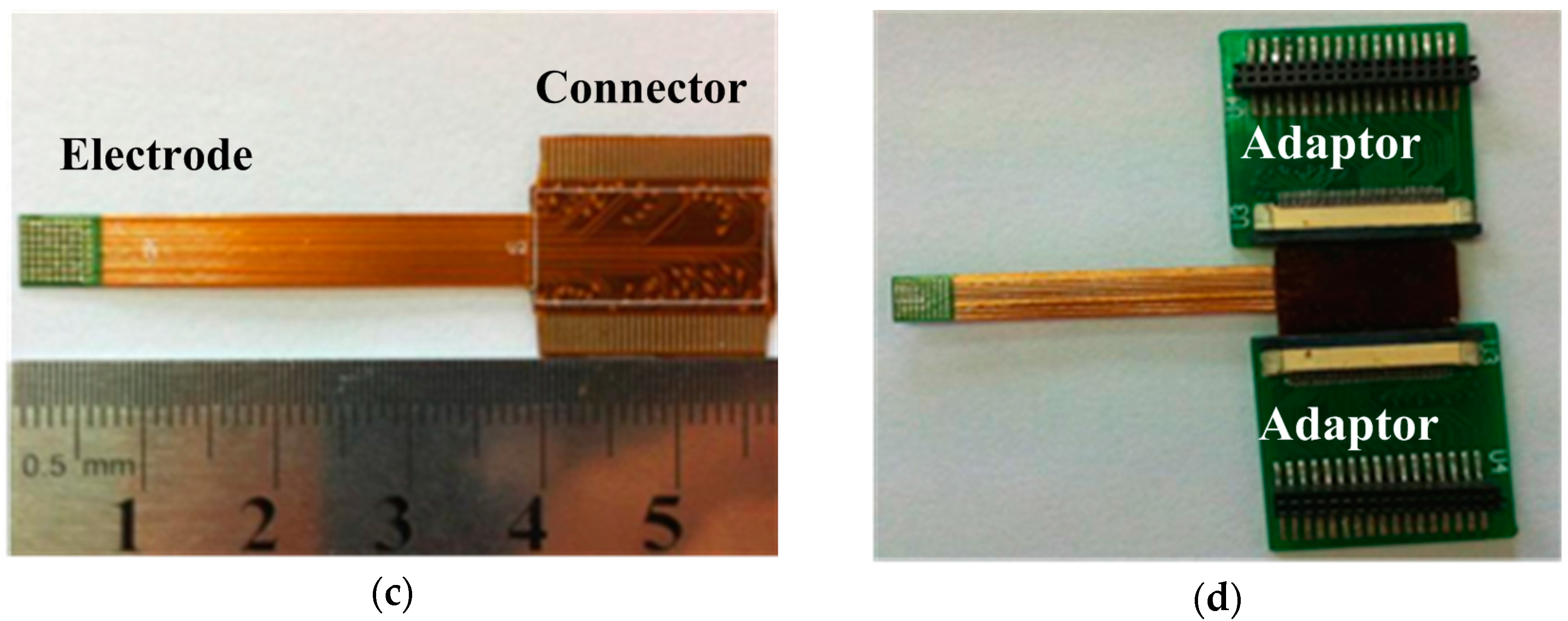 Ijms 18 00335 g004b 550