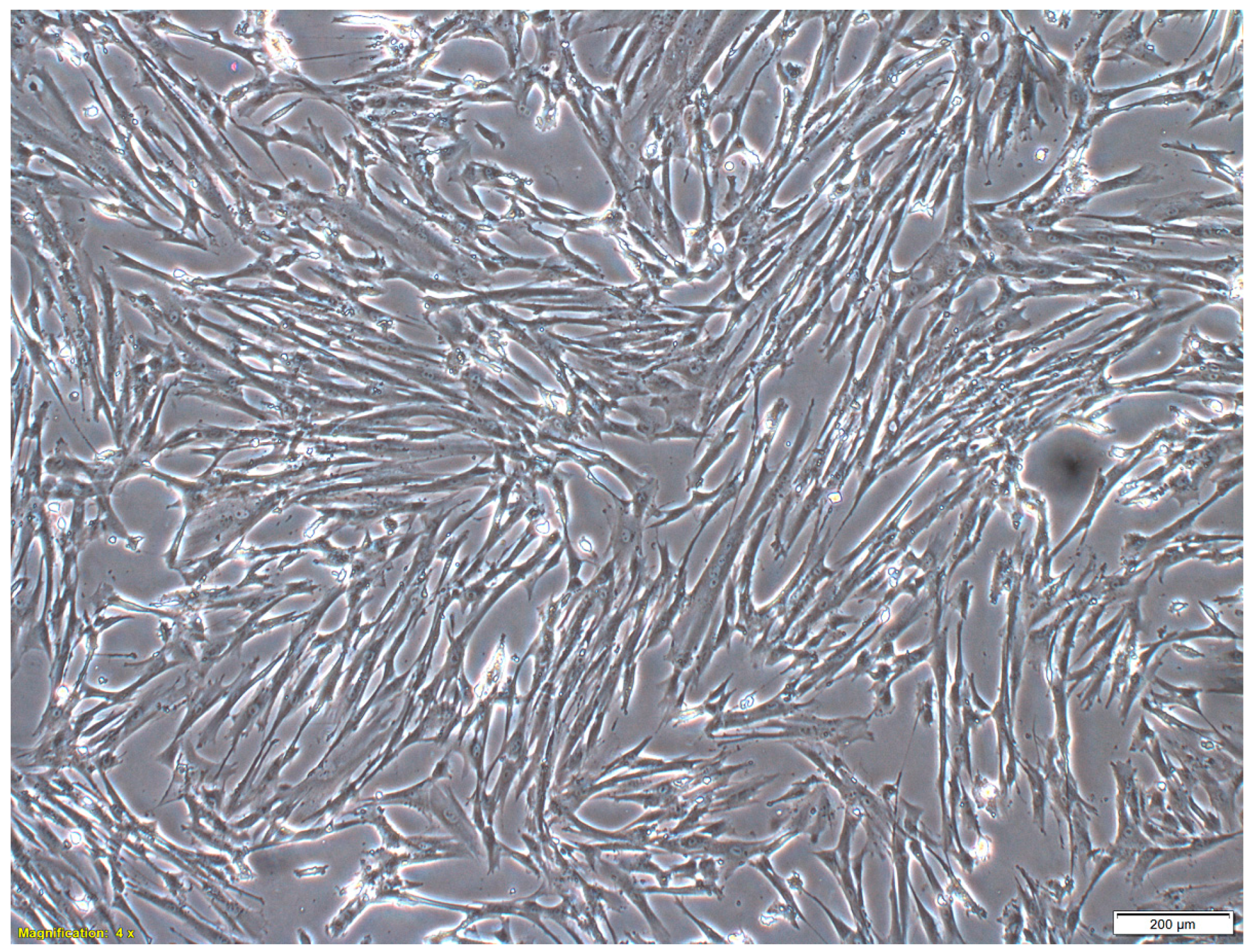 Ijms 18 00345 g001 550