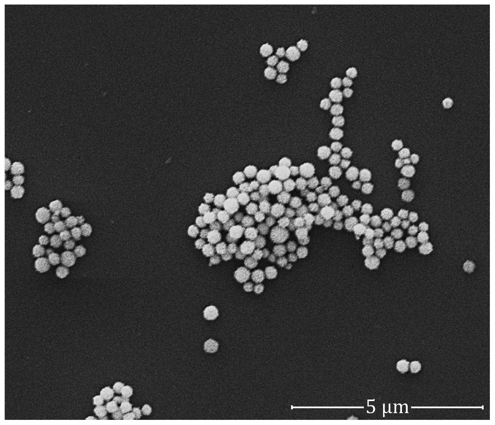 Ijms 18 00345 g004 550