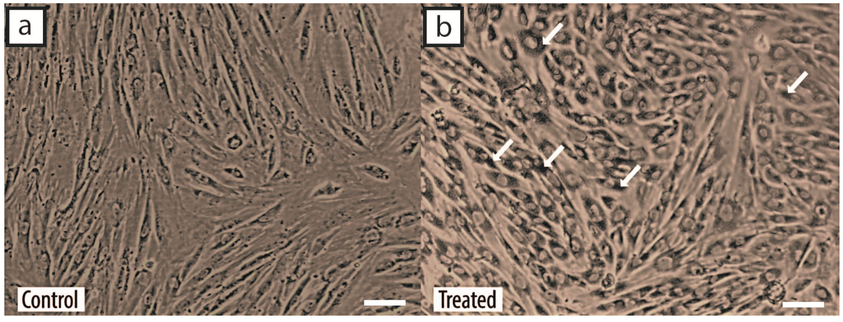 Ijms 18 00345 g005 550