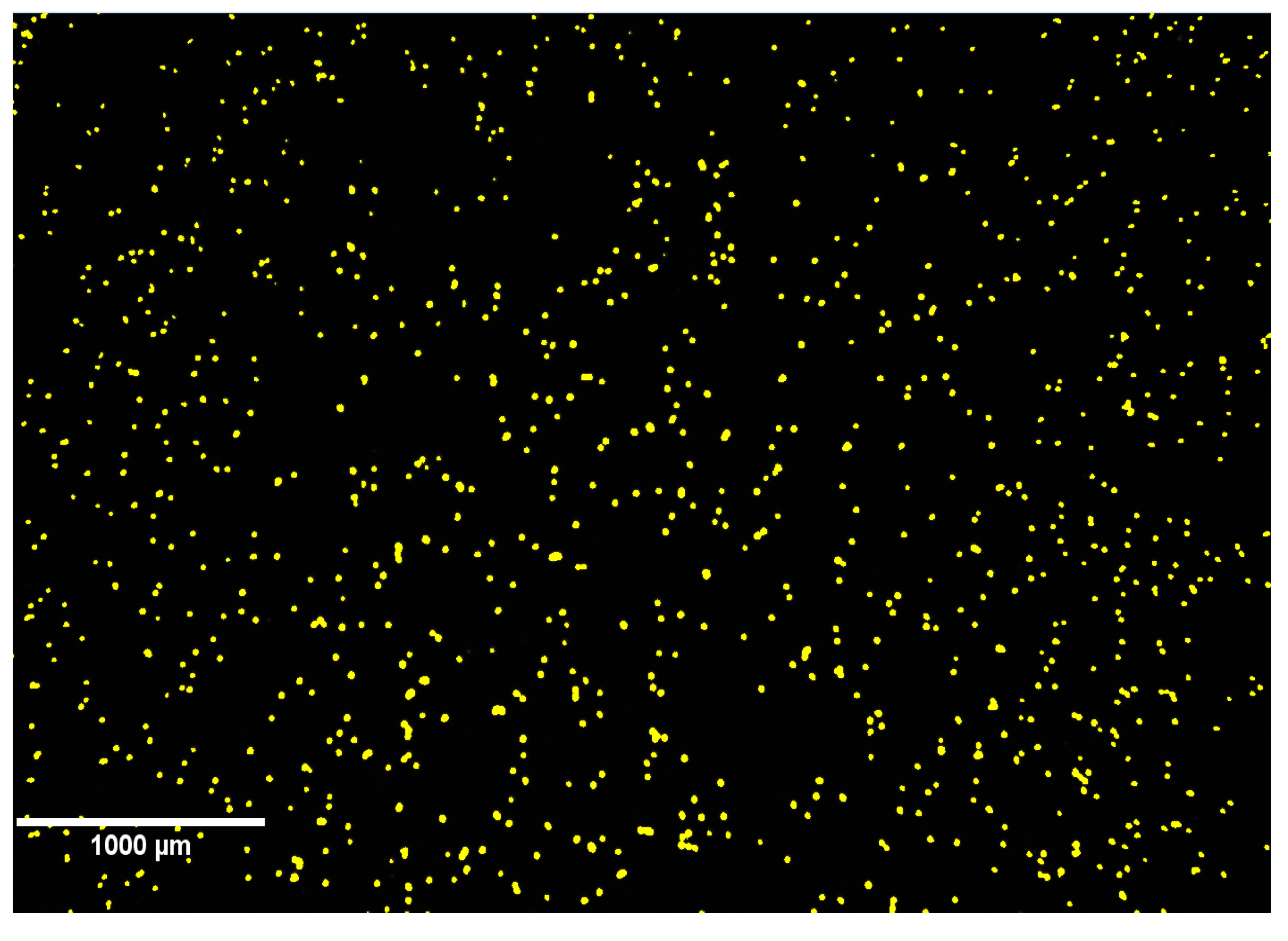 Ijms 18 00356 g005 550