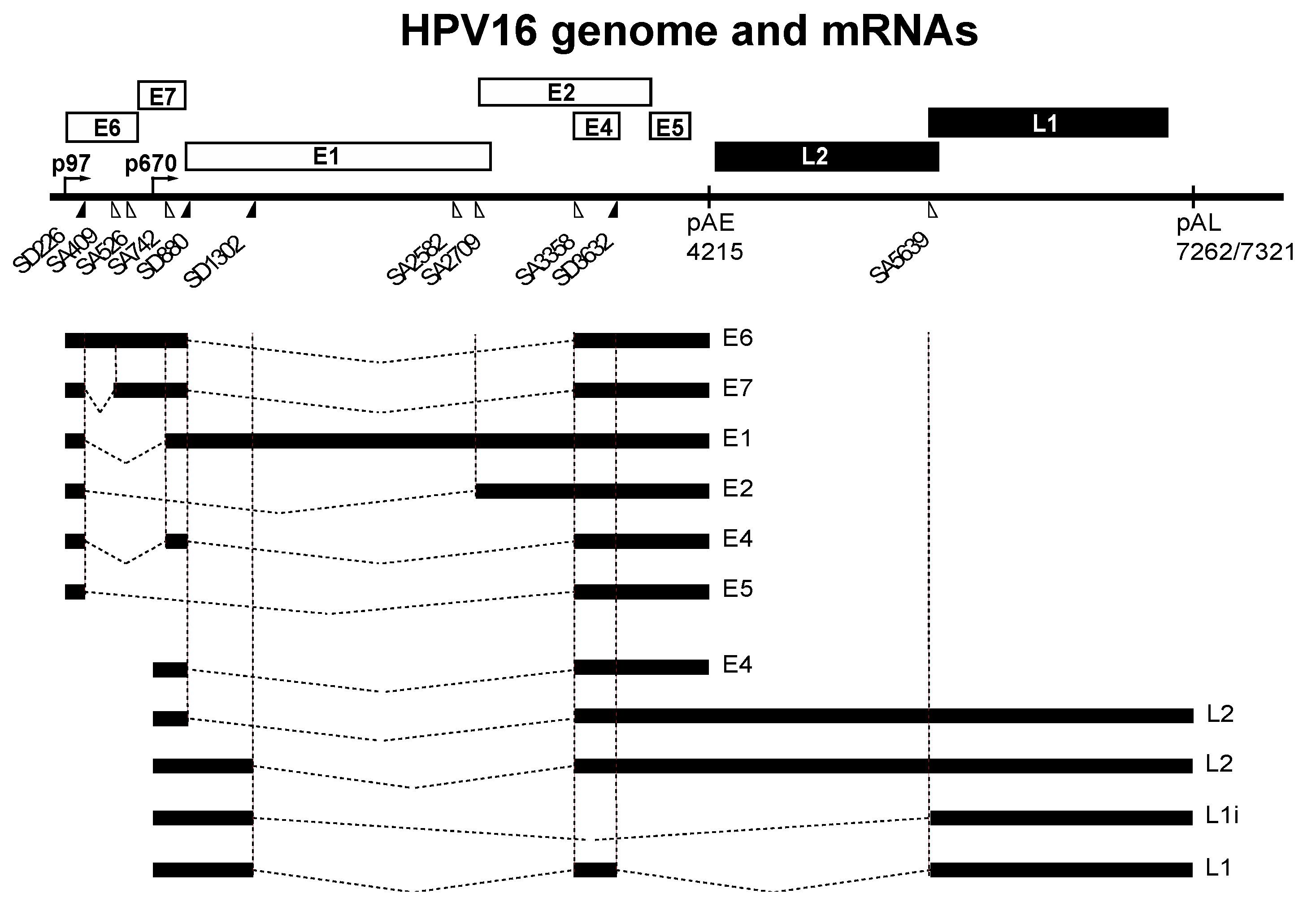 Ijms 18 00366 g001 550