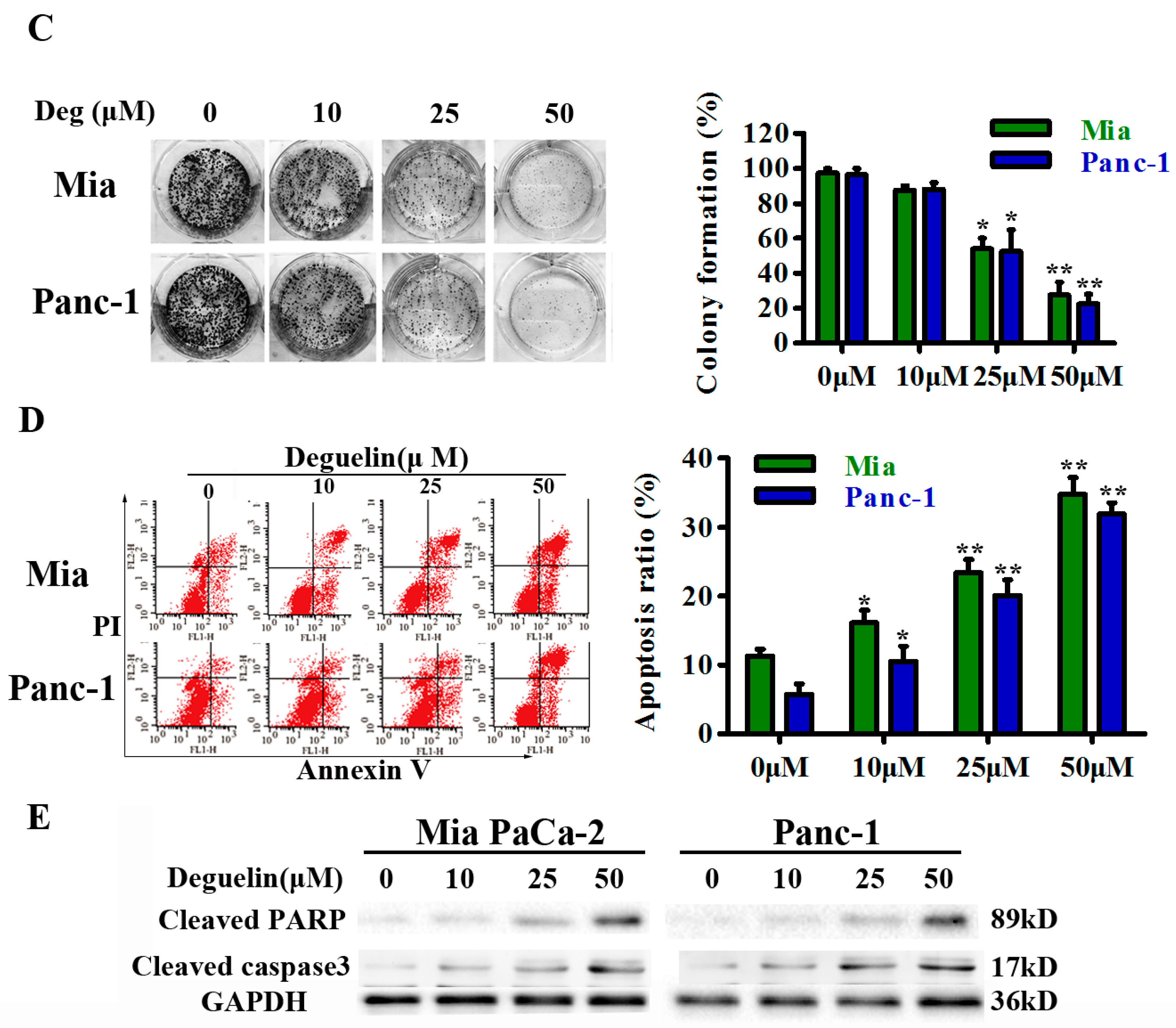 Ijms 18 00370 g001b 550