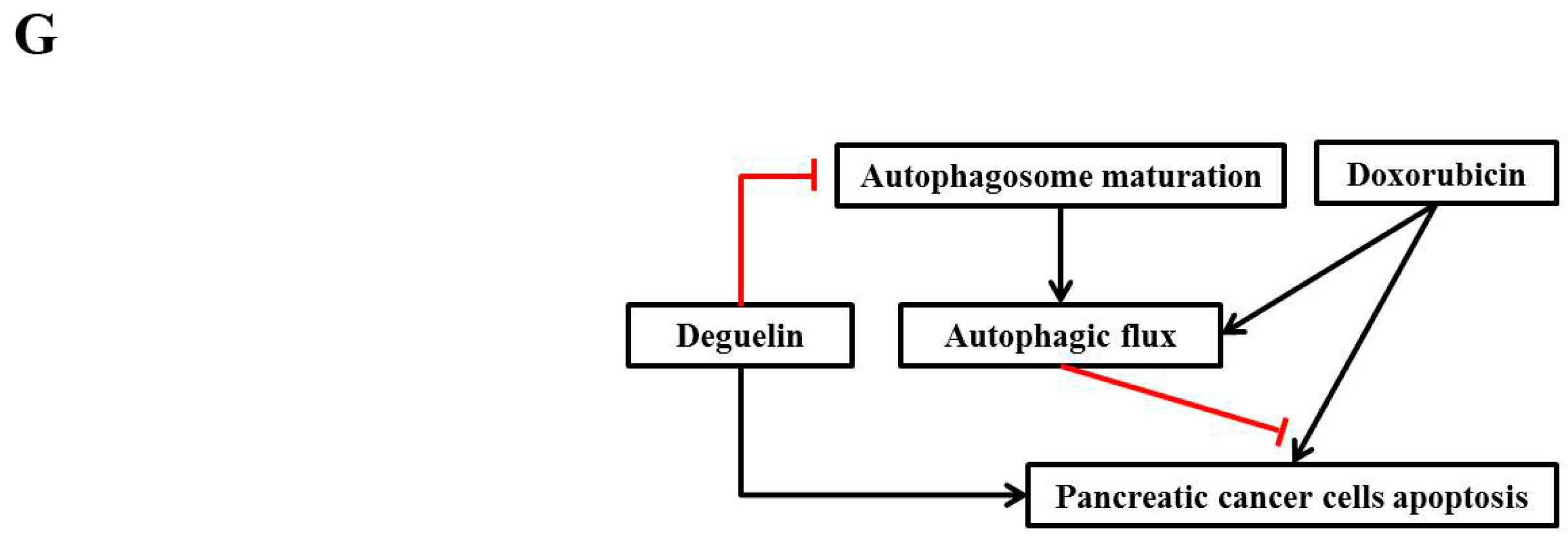 Ijms 18 00370 g006b 550