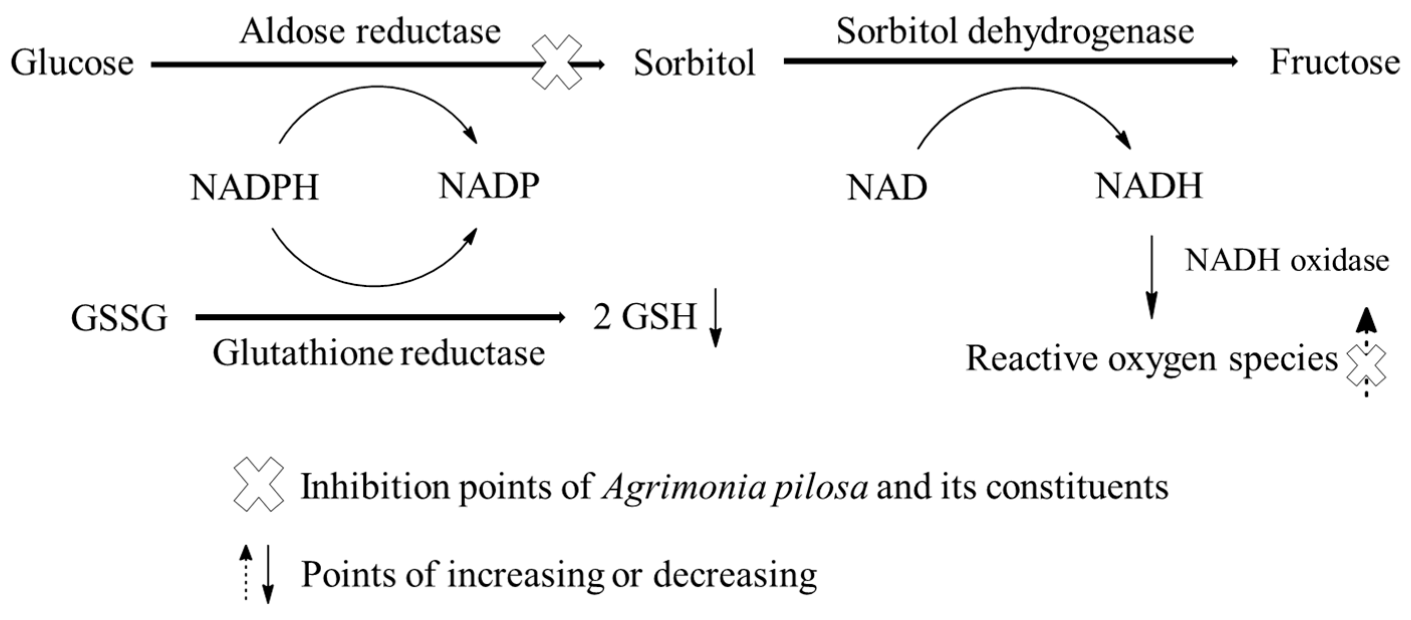 Ijms 18 00379 g005 550