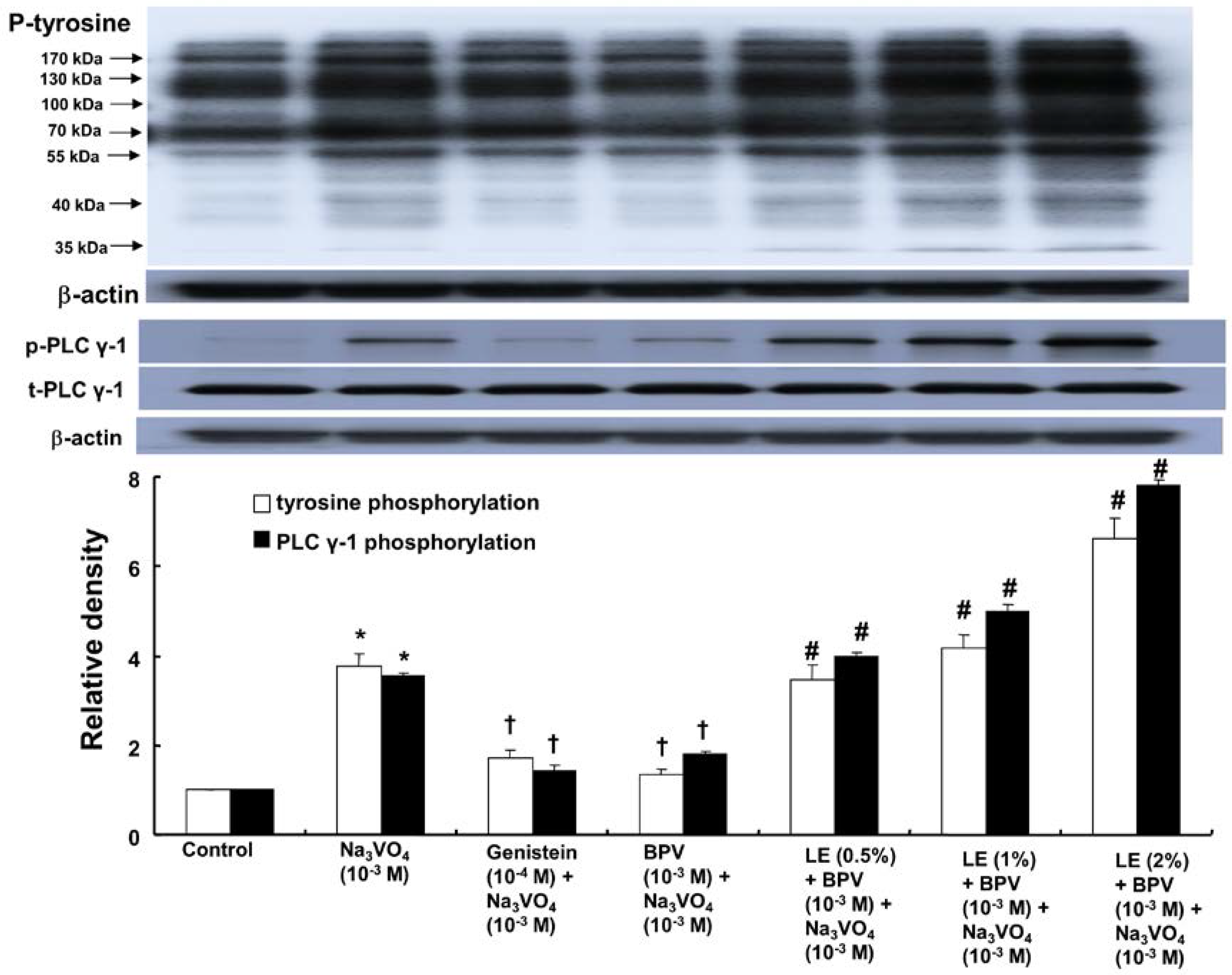 Ijms 18 00394 g004 550