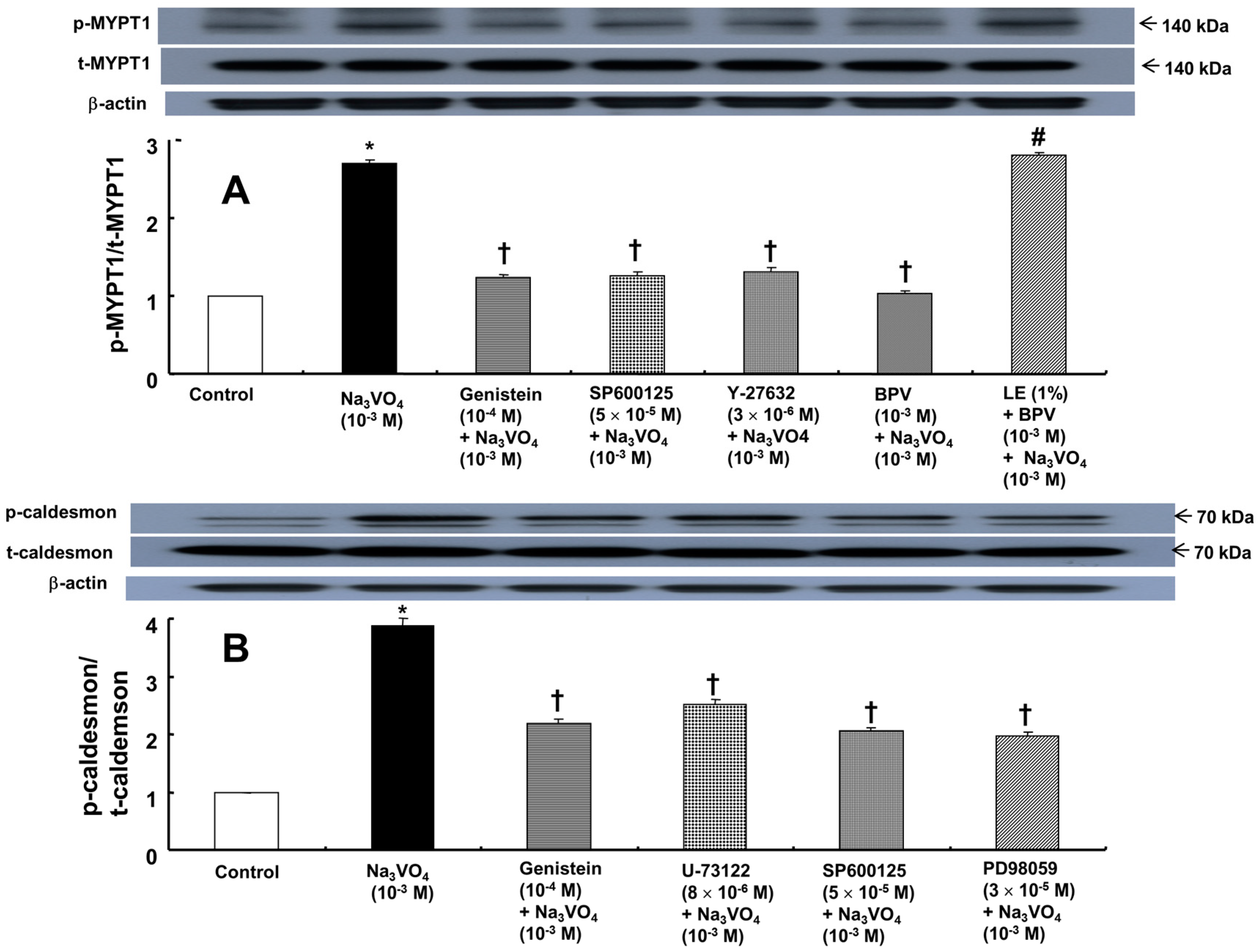 Ijms 18 00394 g006 550