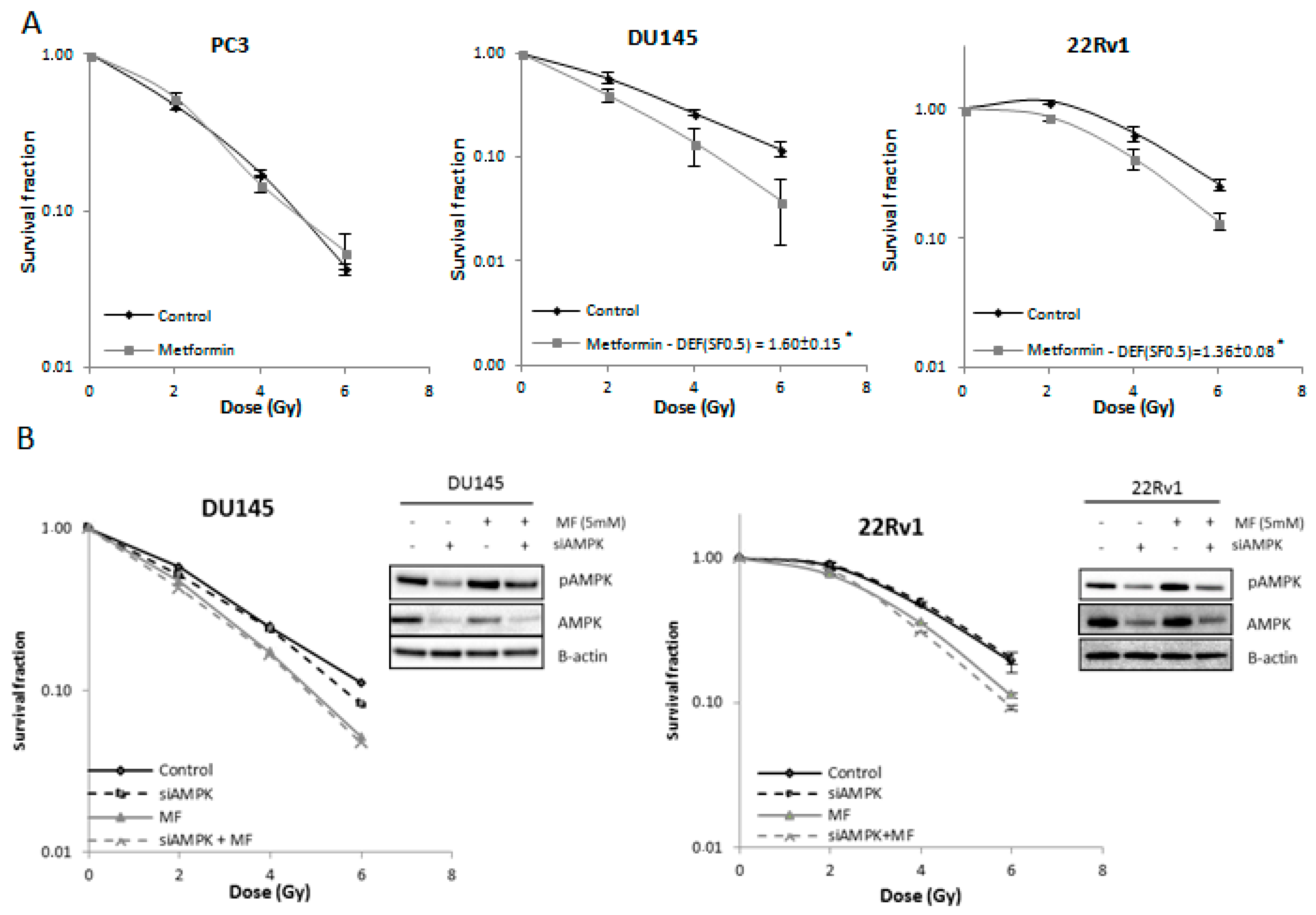Ijms 18 00399 g002 550