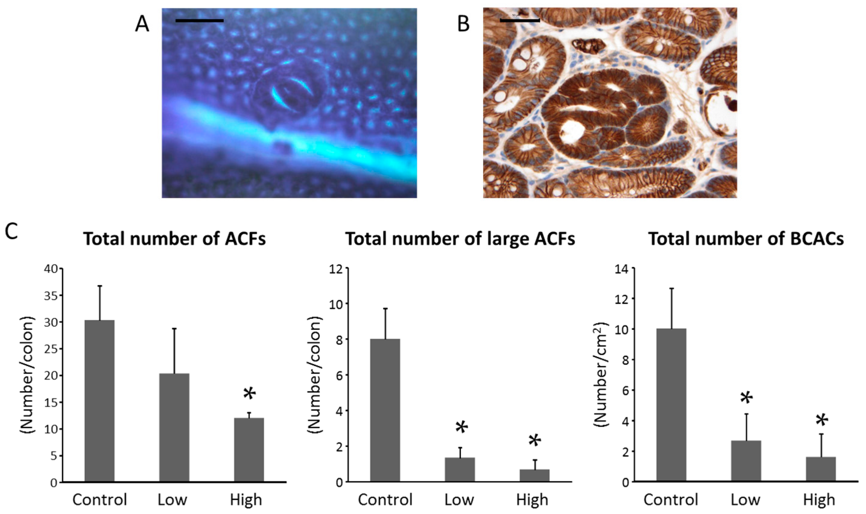 Ijms 18 00413 g001 550